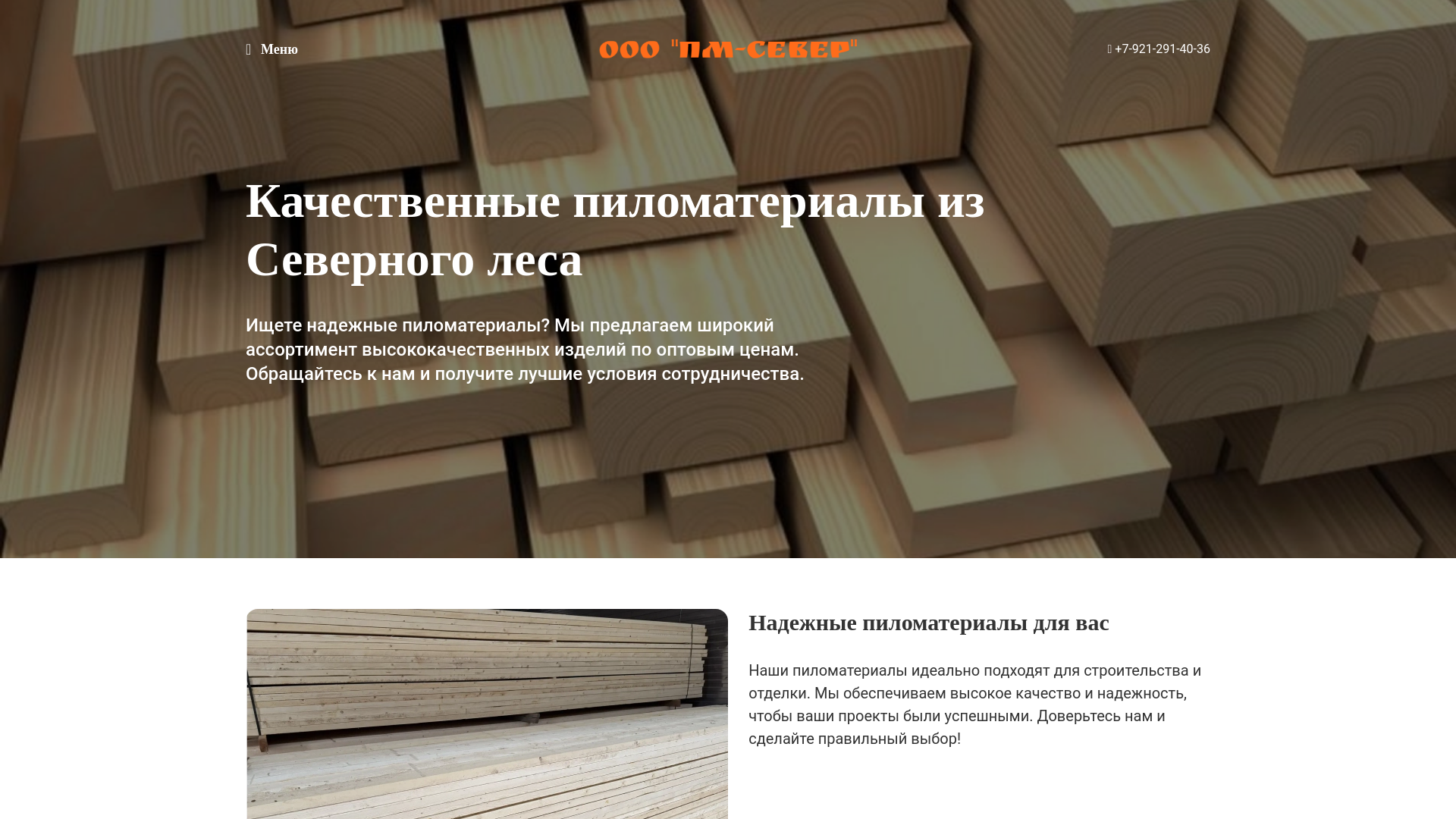 website screenshot of https://pm-sever29.ru/