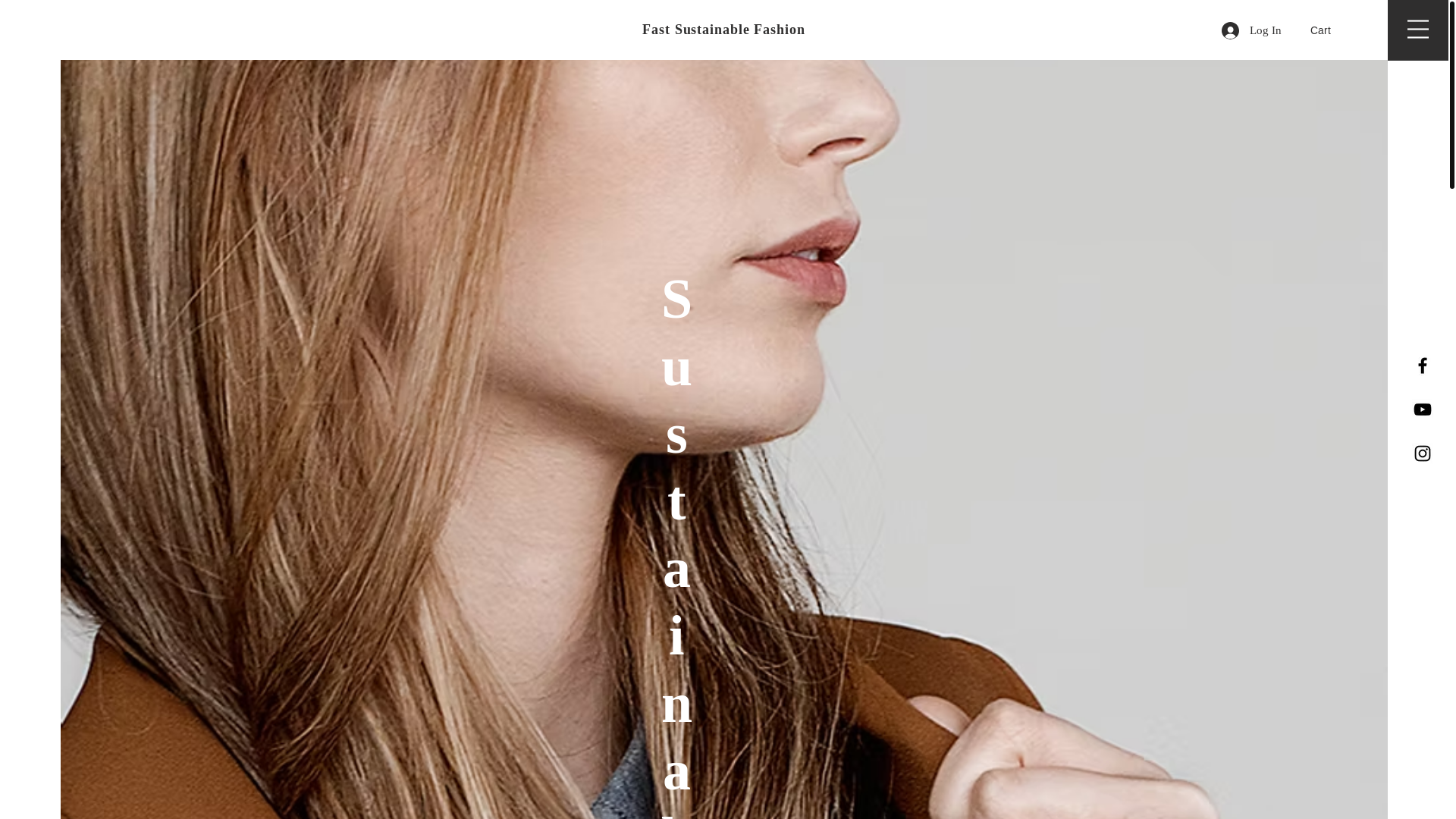 website screenshot of https://fastsustainablefashion.net/