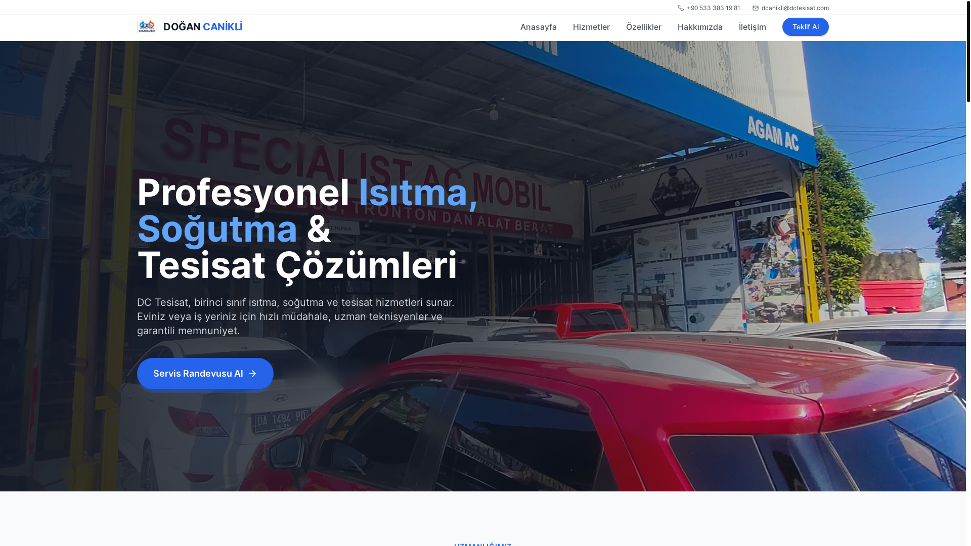 website screenshot of https://dctesisat.com/