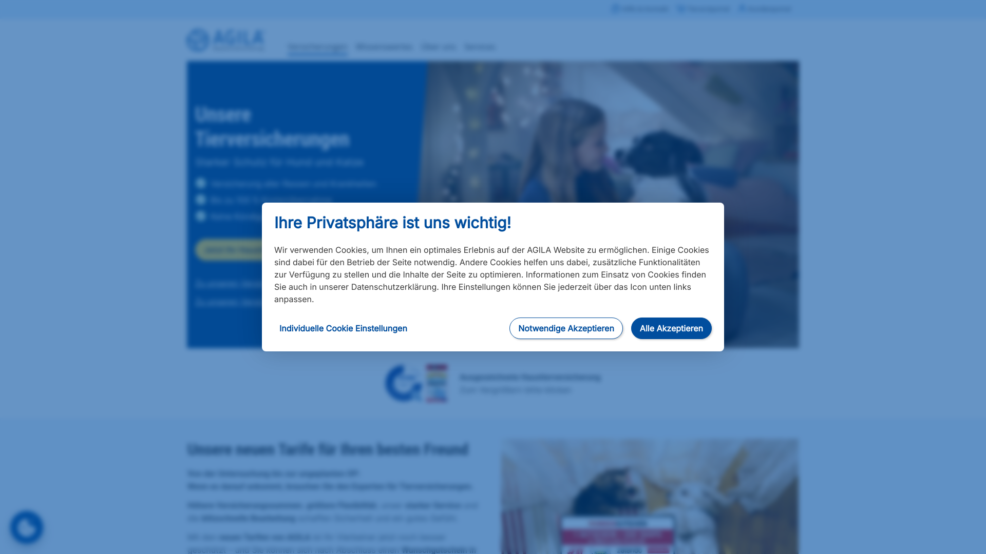 website screenshot of https://www.agila.de