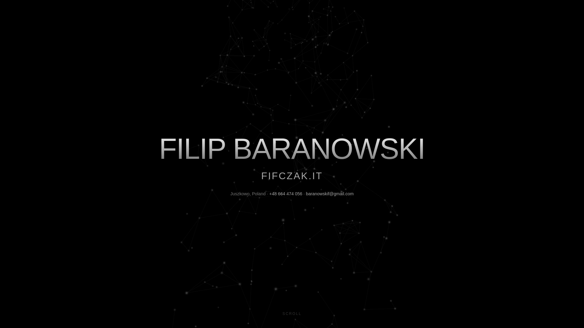 website screenshot of https://fifczak.it/