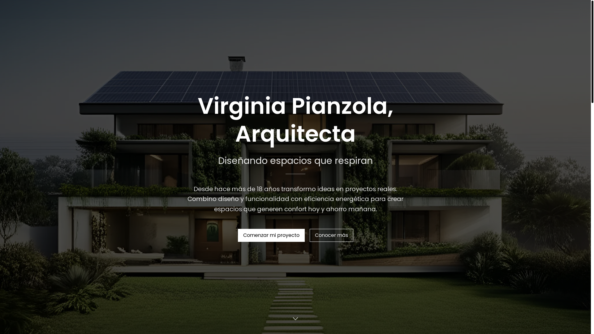 website screenshot of https://virginiapianzola.com/