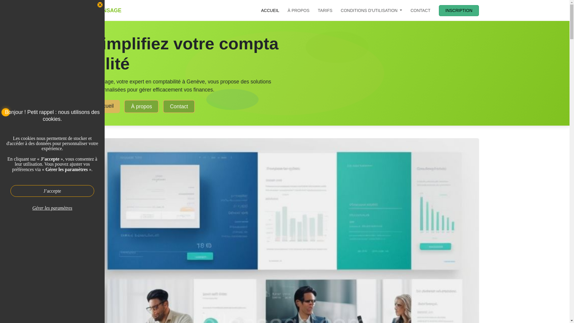 website screenshot of https://bilansage.com/