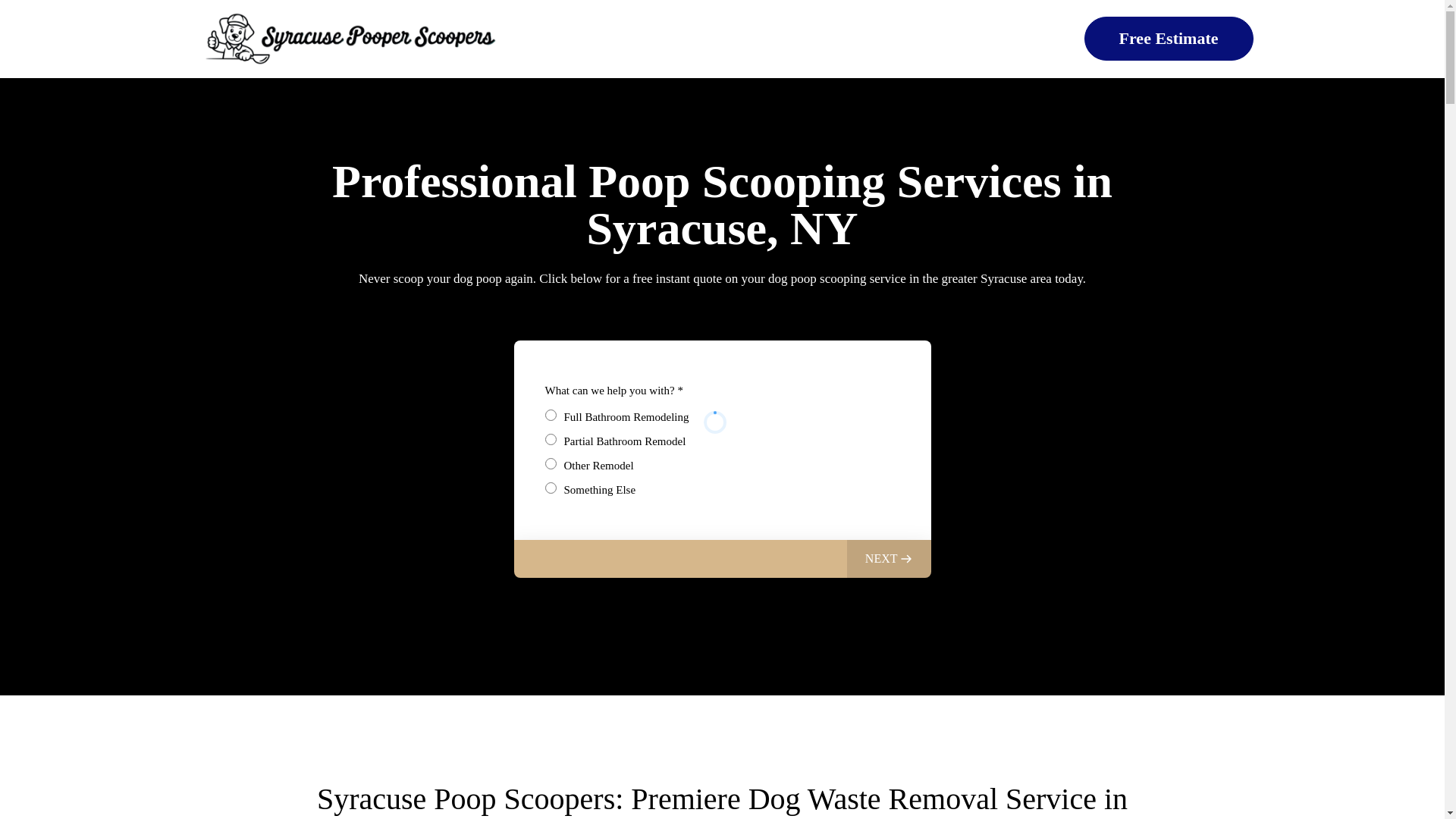 website screenshot of https://syracusepooperscoopers.com/