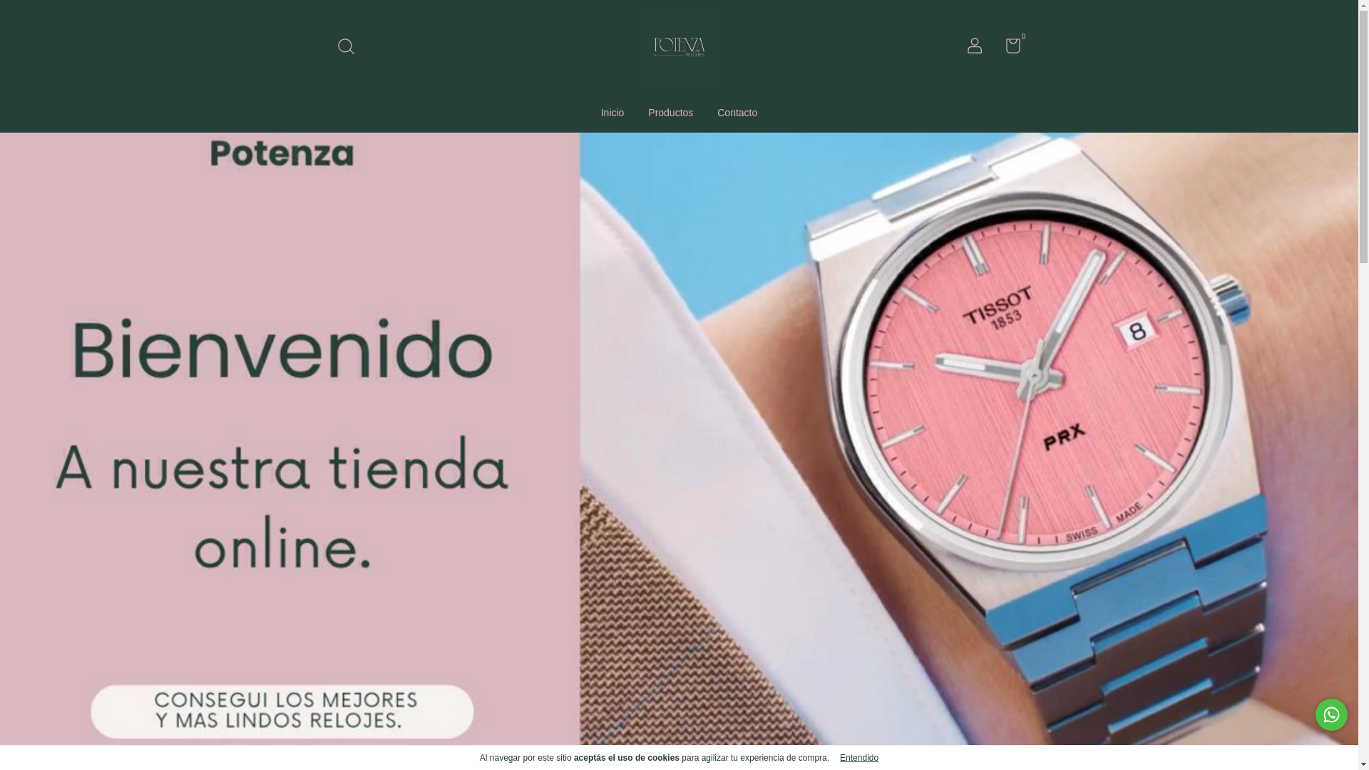 website screenshot of https://relojespotenza.com.ar/