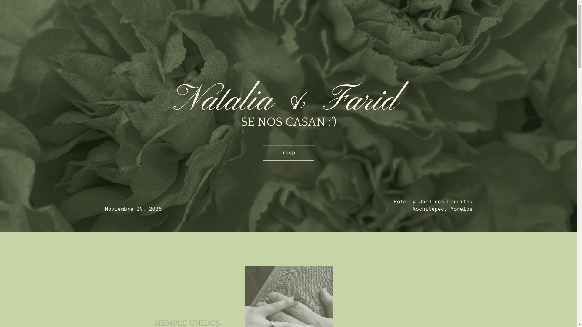 website screenshot of https://nataliayfarid.com/