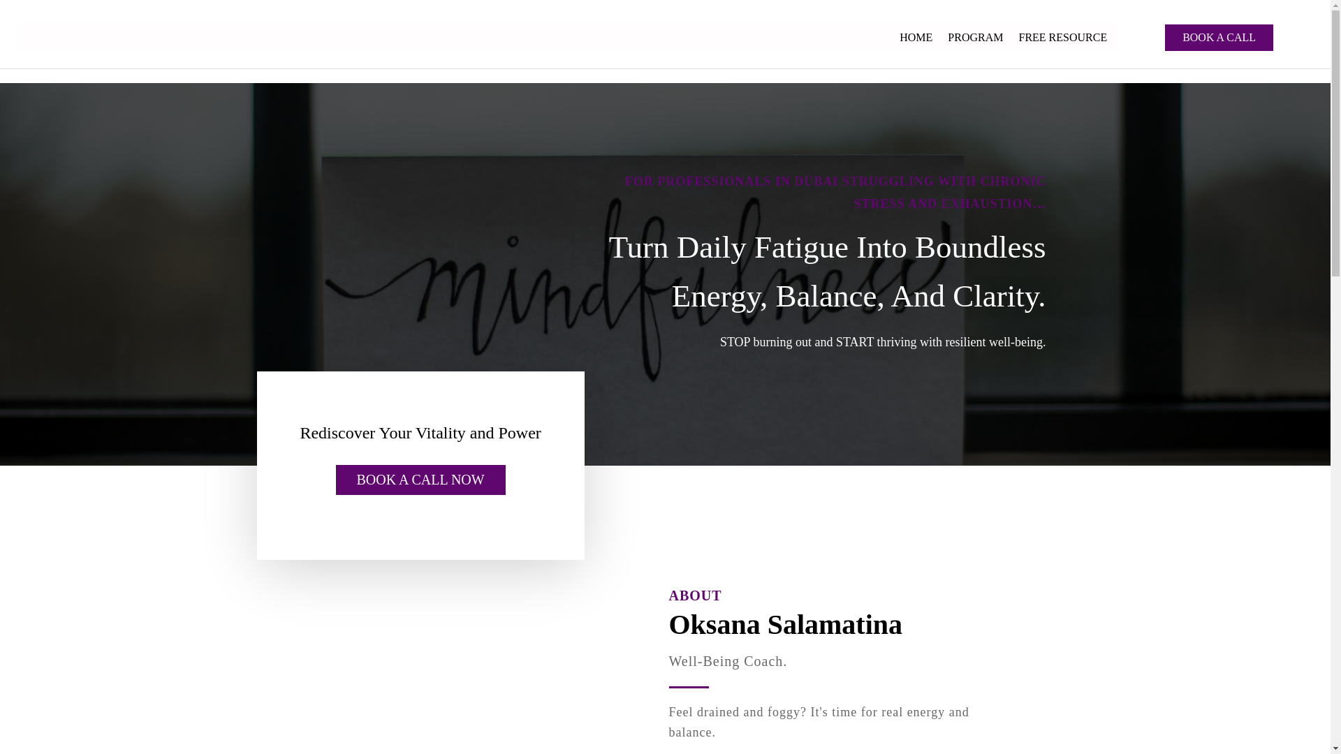 website screenshot of https://renaissance-person.com/