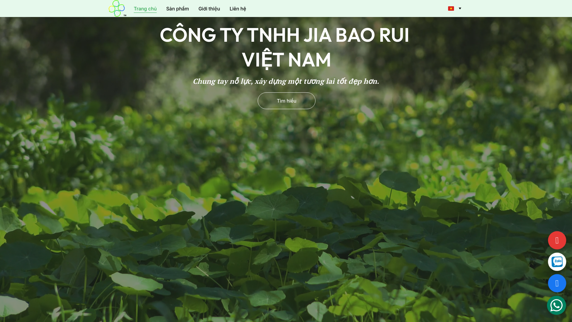 website screenshot of https://sanphamnhuagiasi.com/