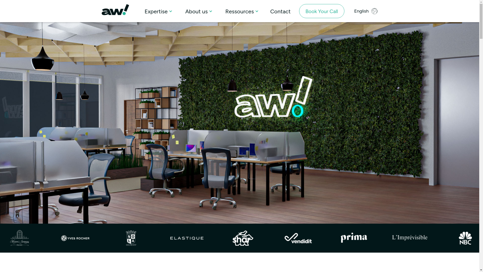 website screenshot of https://launchaskwolf.store/