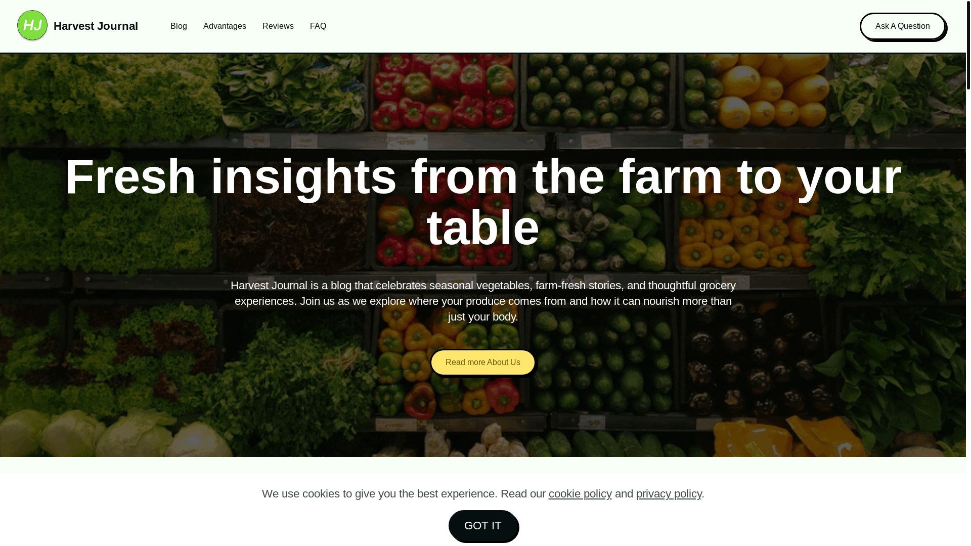 website screenshot of https://frosrtretarsuryconcet.com/