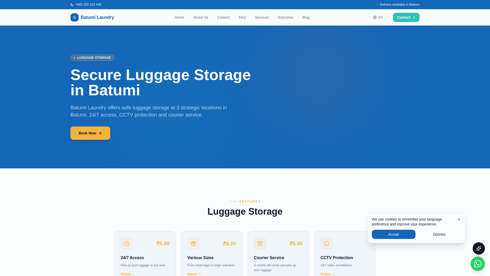 website screenshot of https://luggagestorage.ge