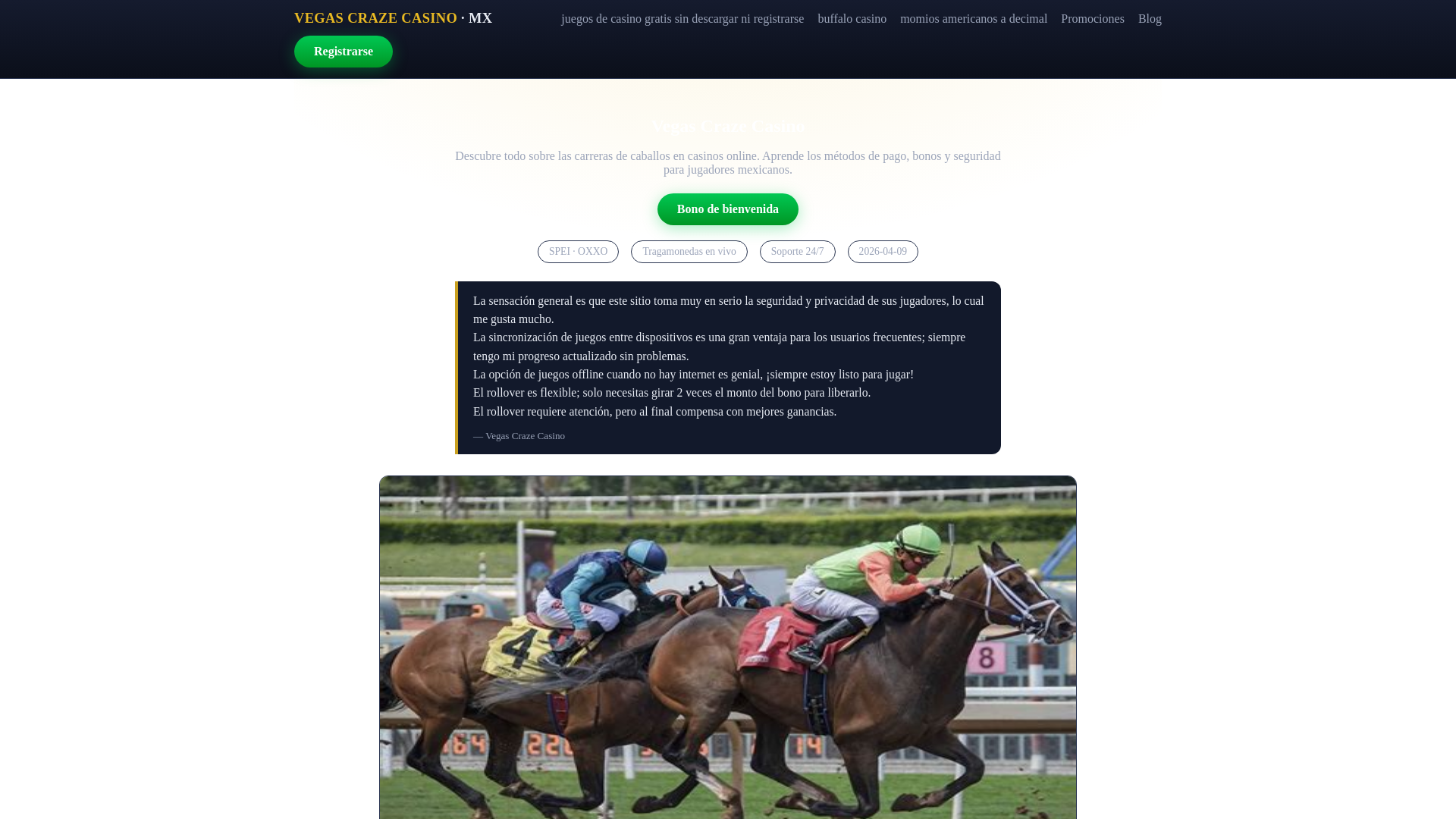 website screenshot of https://afun-sports.com