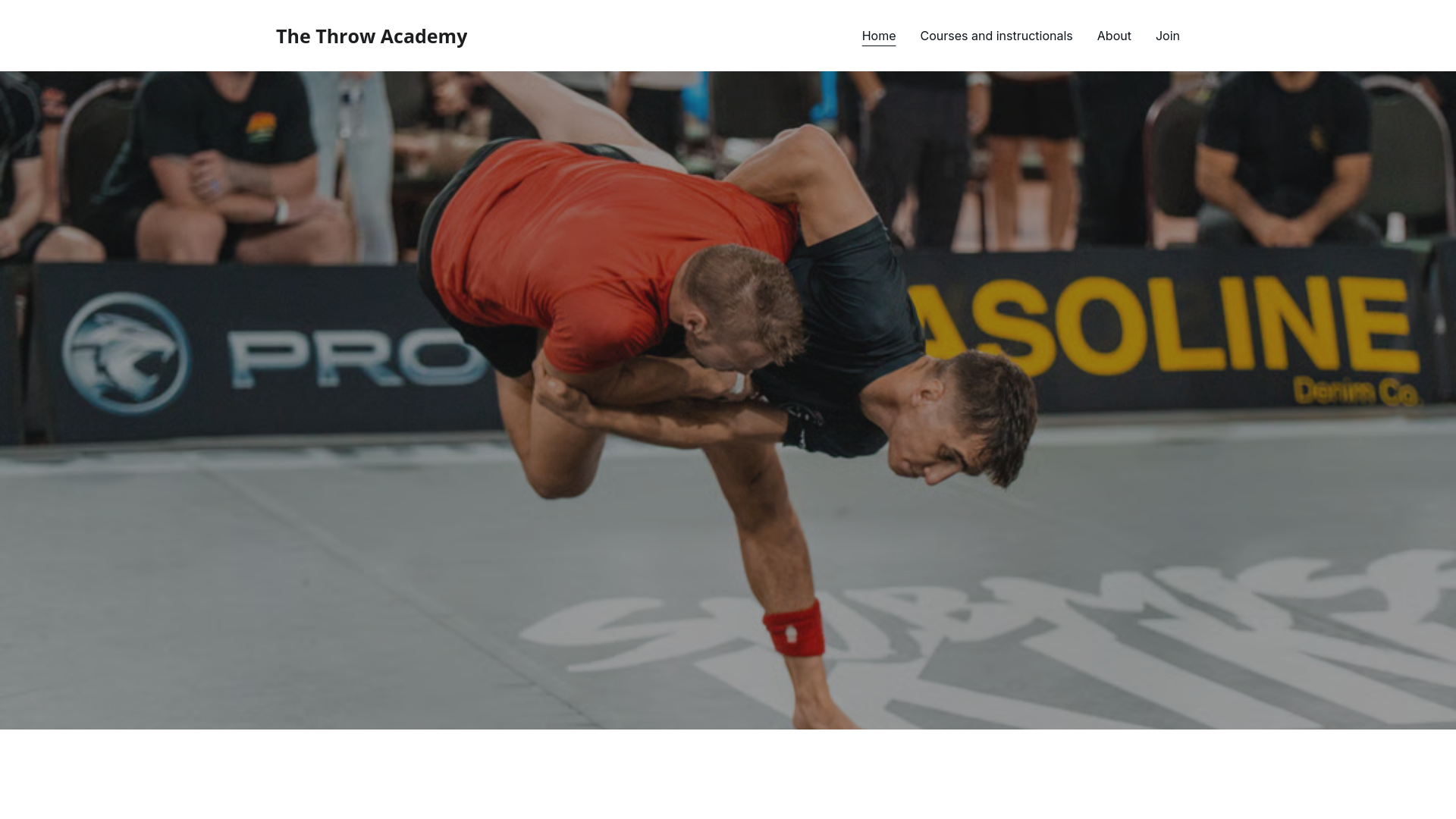website screenshot of https://throwacademy.com/
