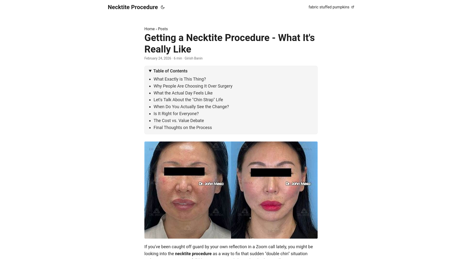 website screenshot of https://necktite-procedure.pages.dev/
