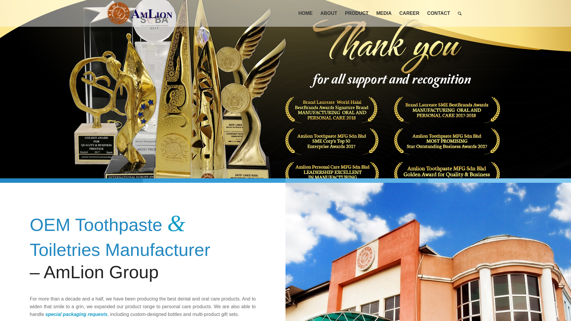 website screenshot of https://amlion.com.my