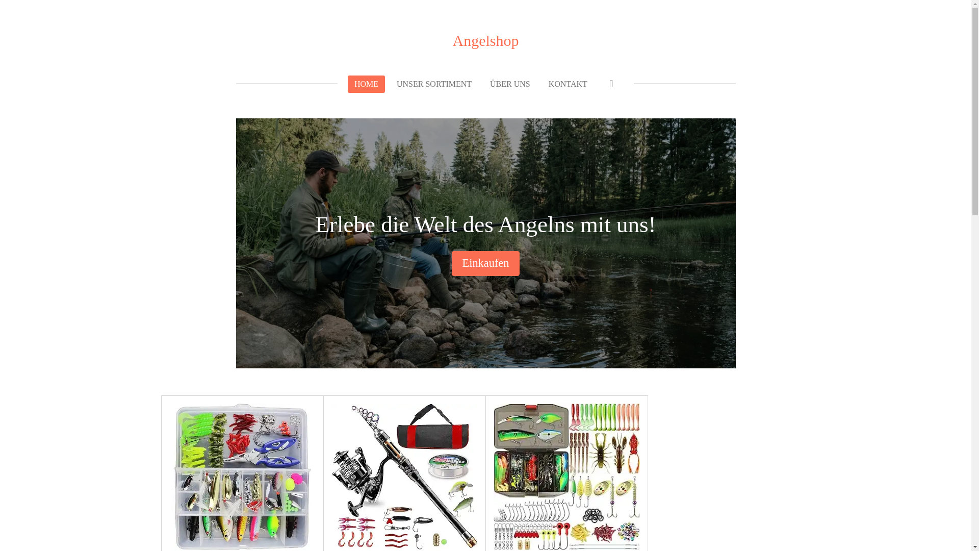 website screenshot of https://angelshopde.de/