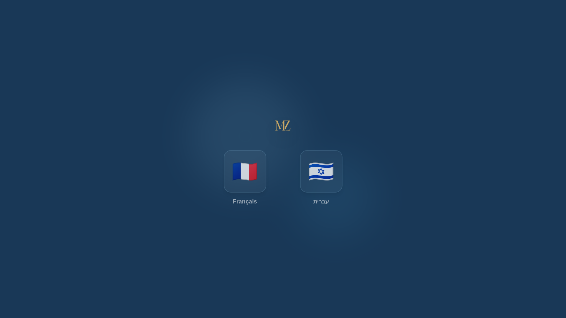 website screenshot of https://moshezeitounbm.com/