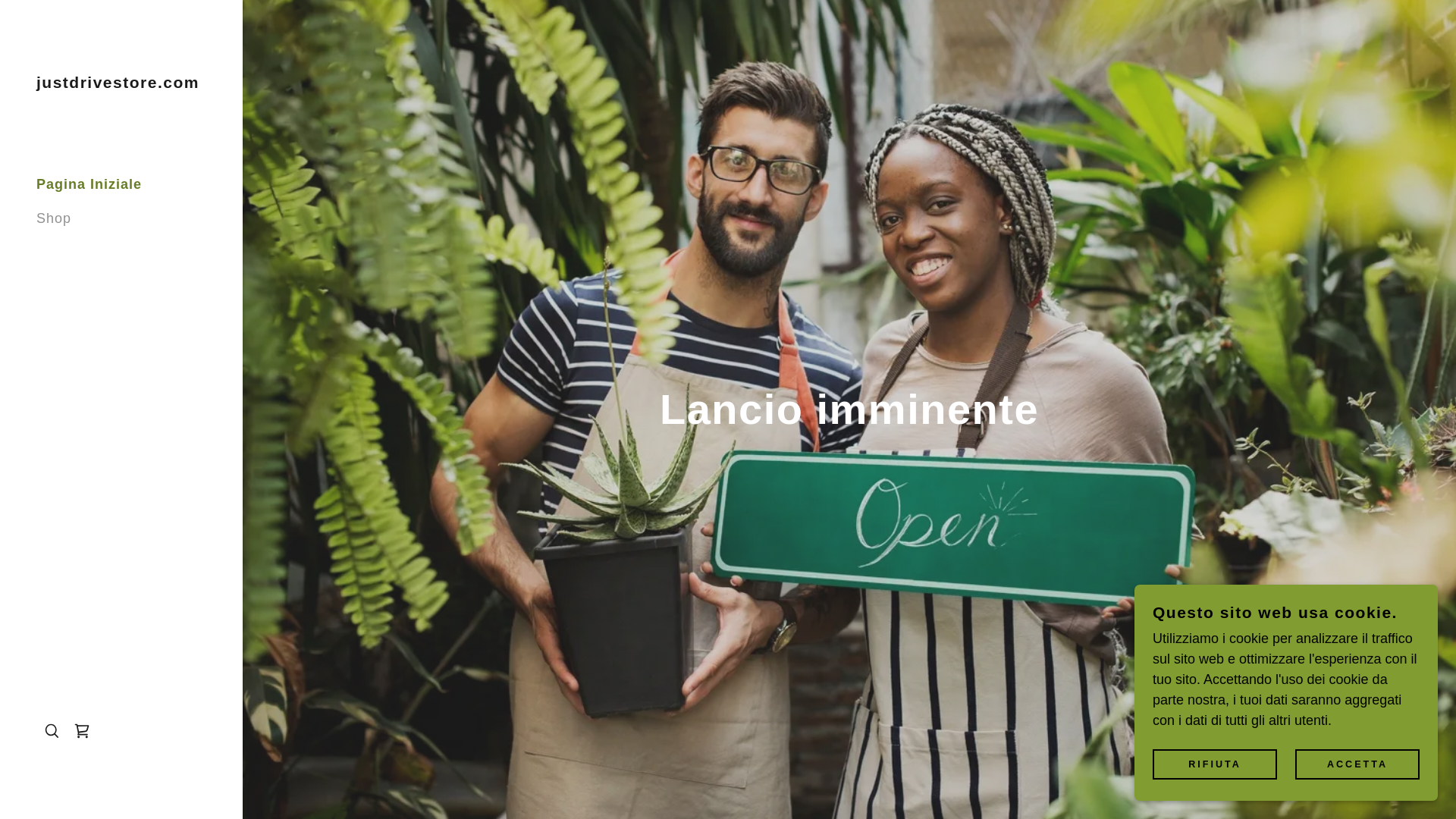 website screenshot of https://justdrivestore.com/