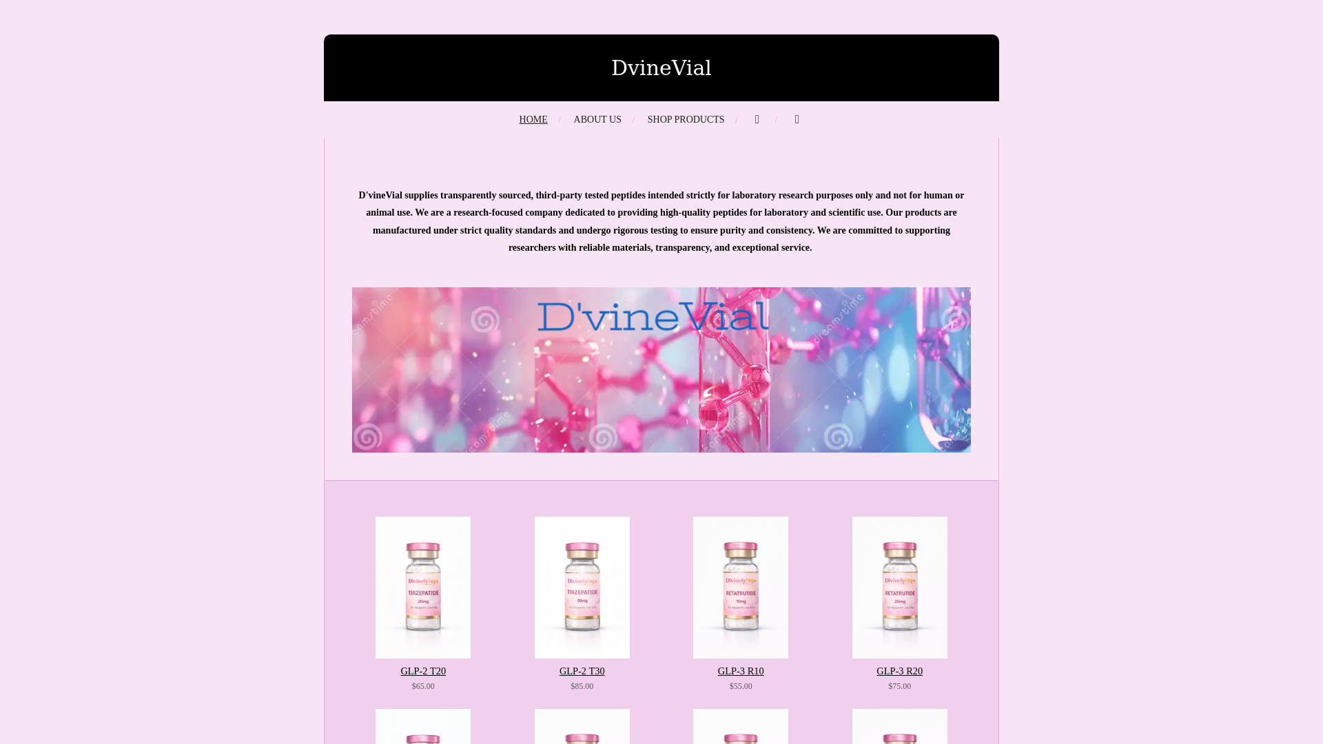 website screenshot of https://dvinevial.com/