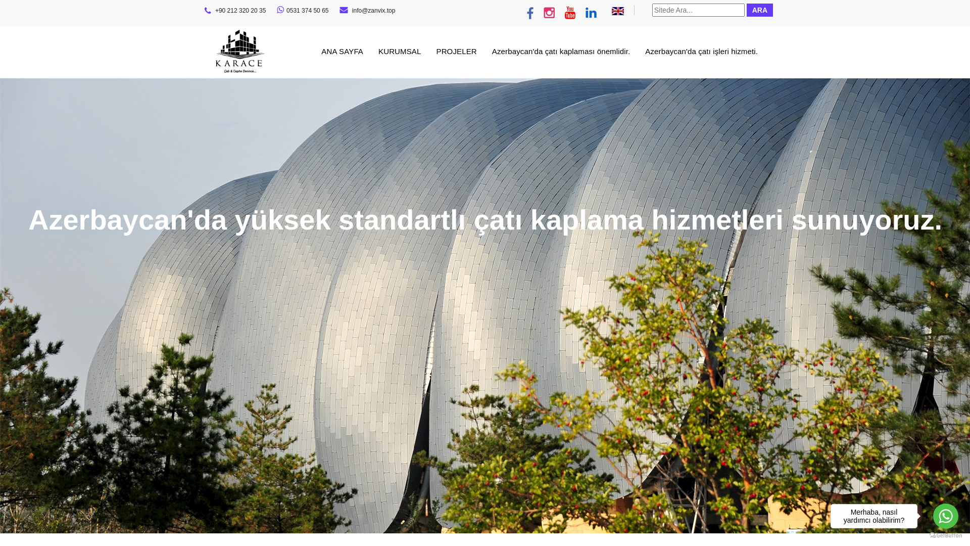 website screenshot of https://zanvix.top/