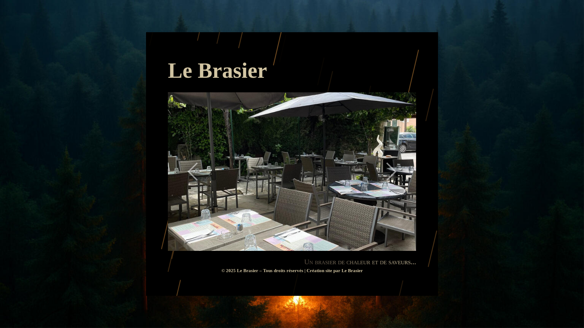 website screenshot of https://lebrasier-vence.fr/