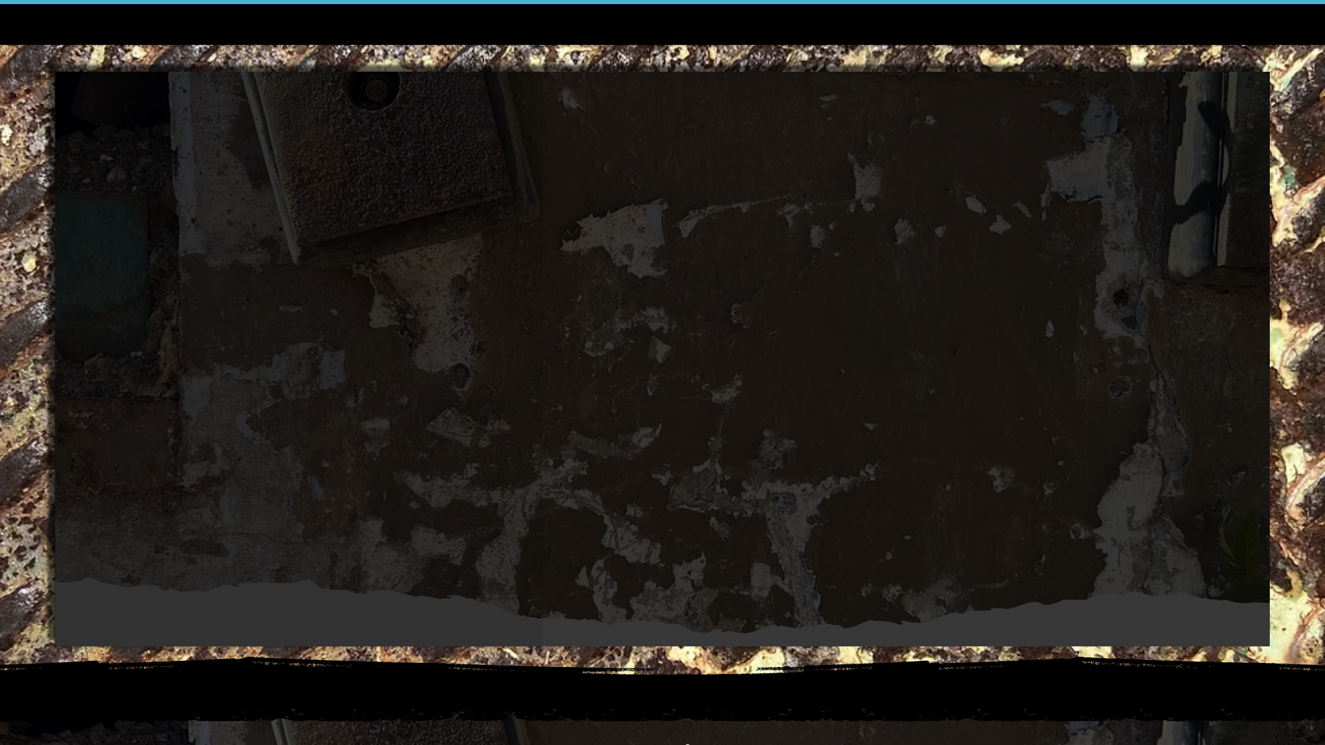 website screenshot of https://vigilantemultimedia.com/