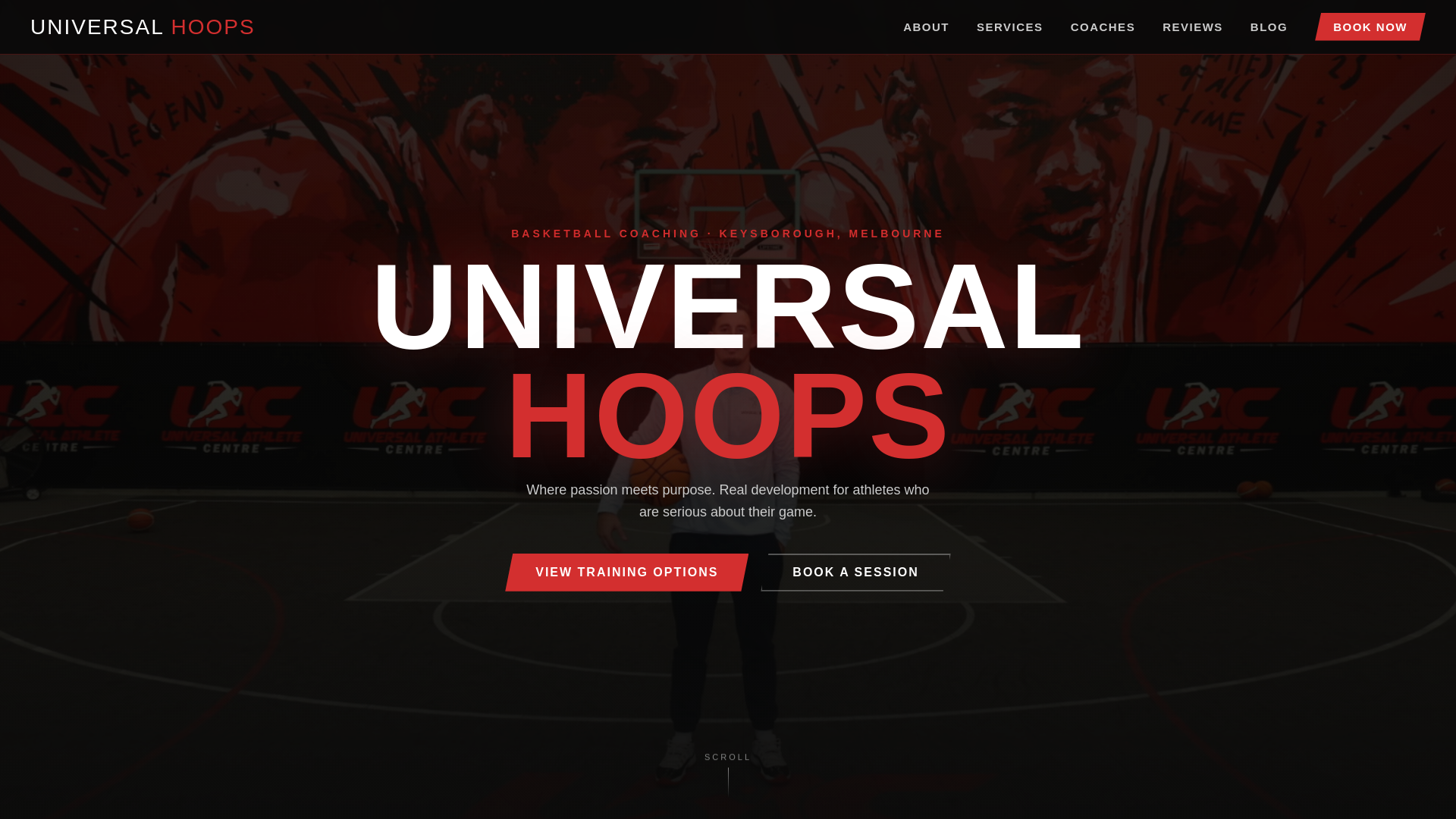website screenshot of https://universalhoops.com.au/