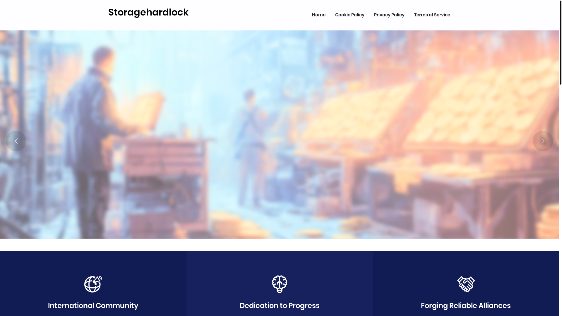 website screenshot of https://storagehardlock.com/