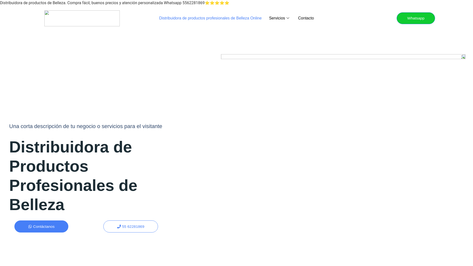 website screenshot of https://distribuidorabellezaonline.com.mx