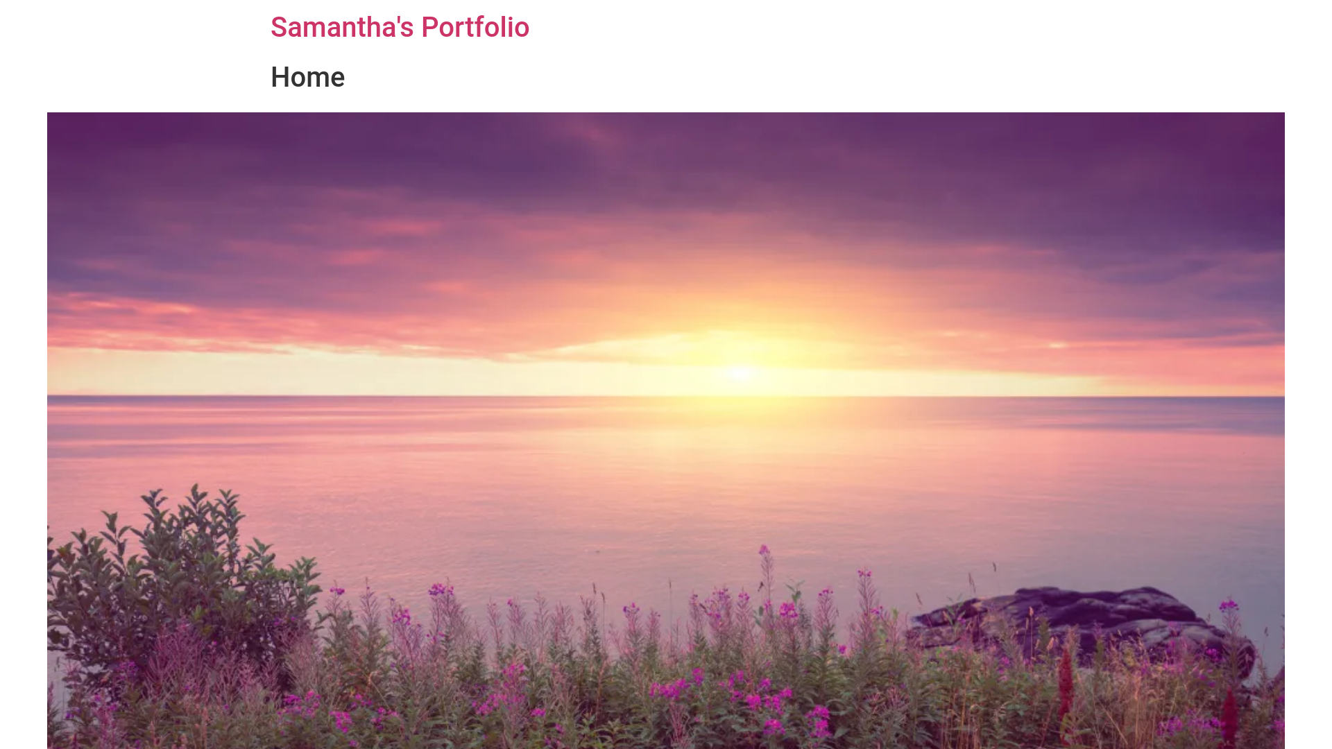 website screenshot of https://samanthaceballos.org/