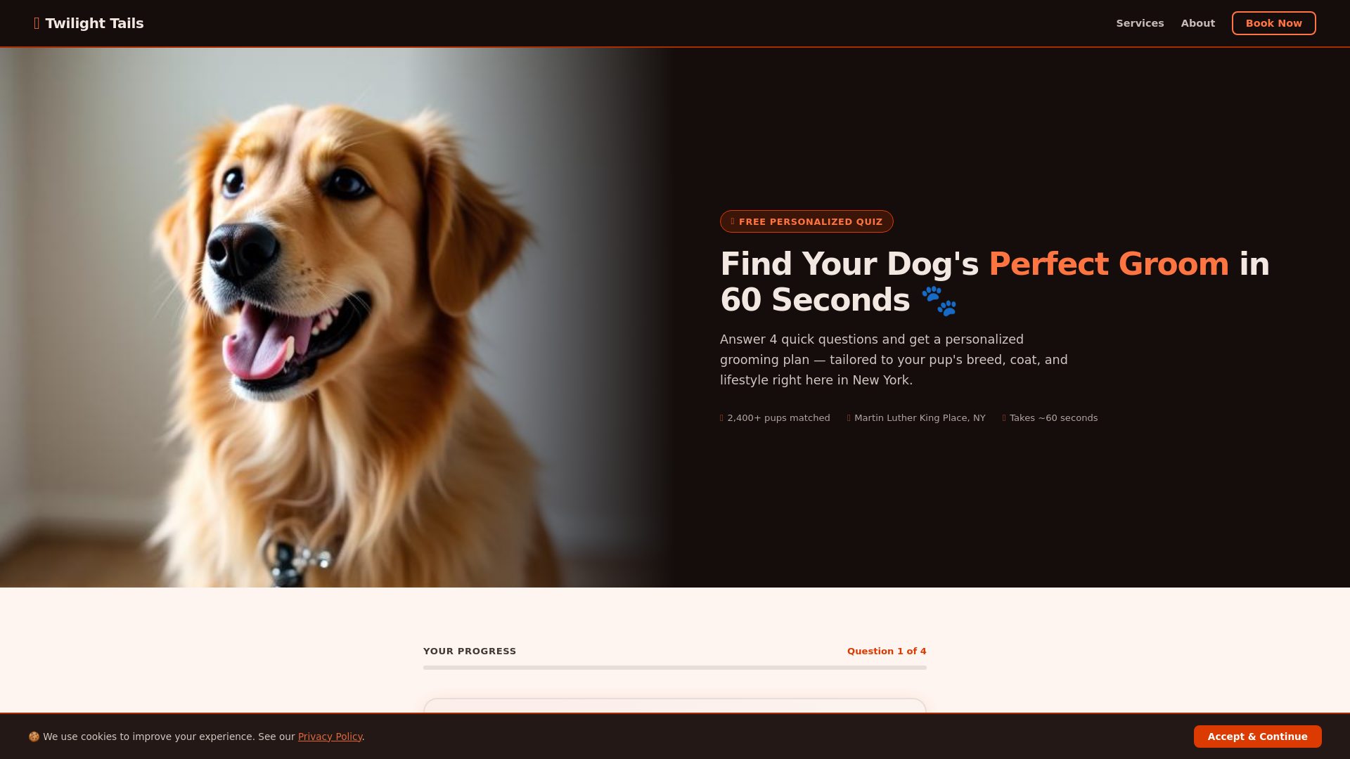 website screenshot of https://chancierhub.click
