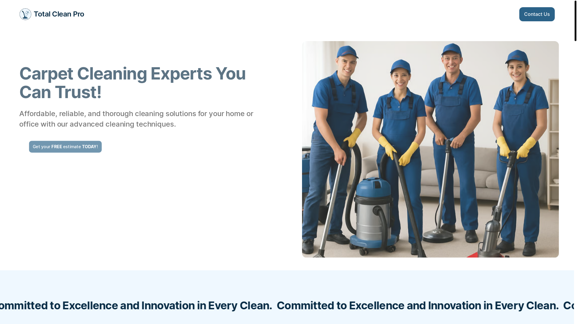 website screenshot of https://total-clean.pro/
