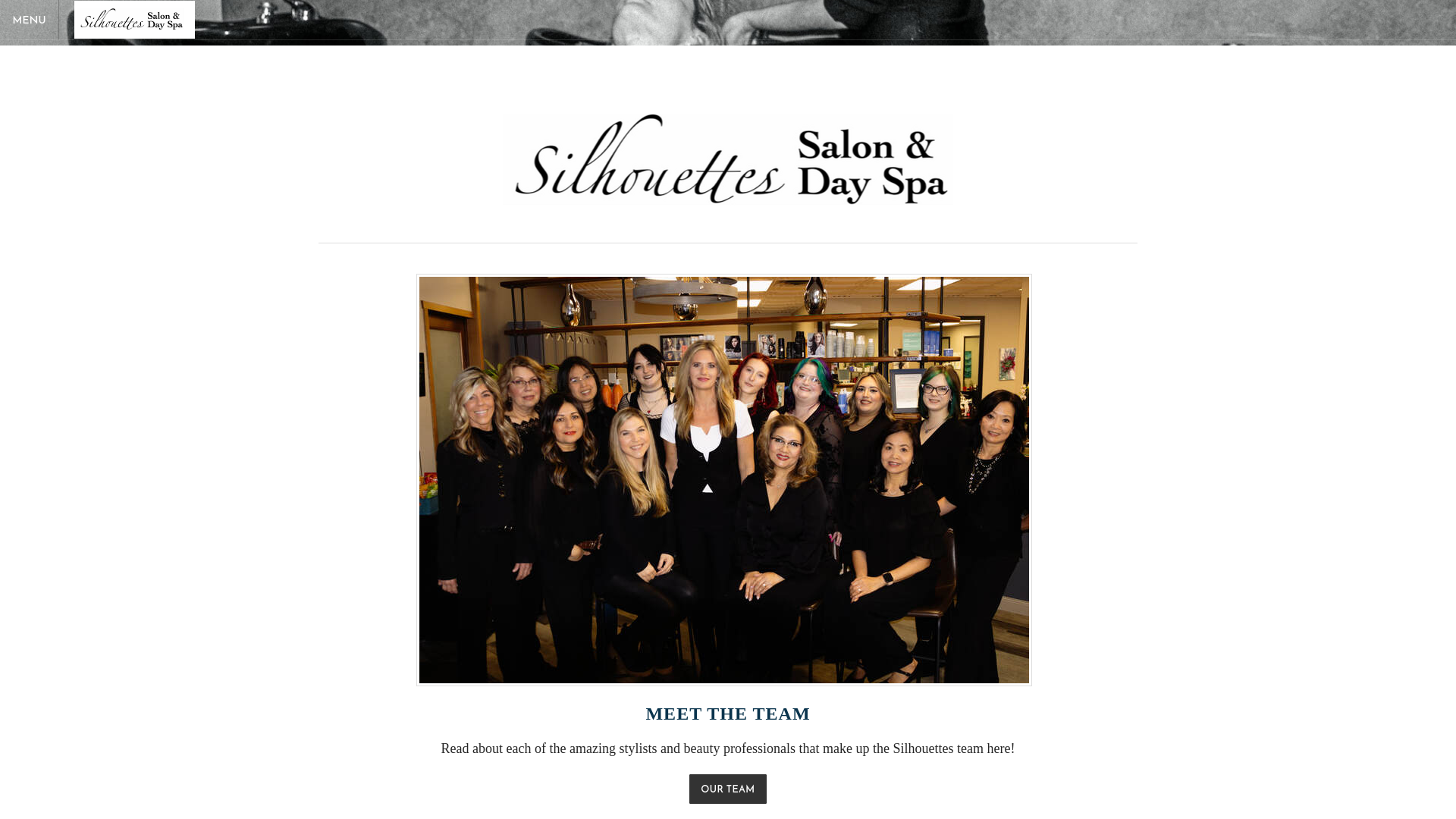 website screenshot of https://bellinghamsilhouettesalonandspa.org/