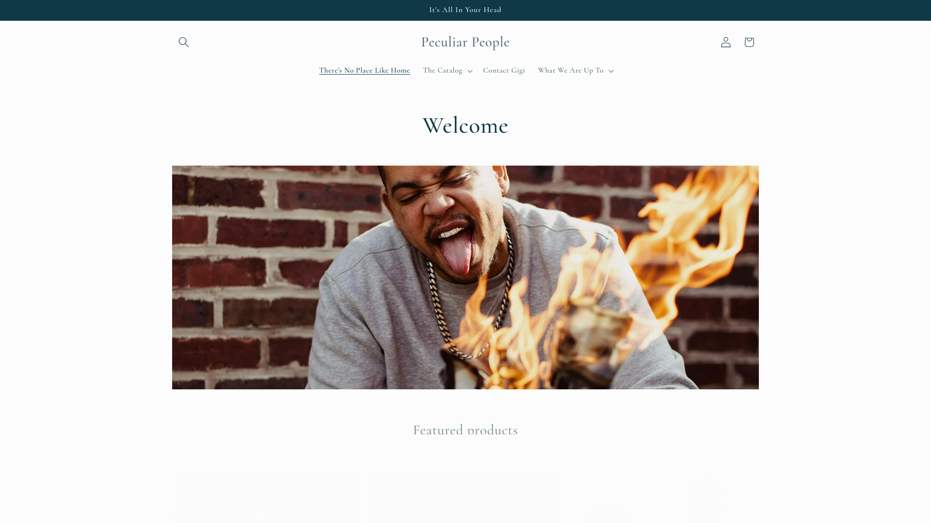 website screenshot of https://peculiarpeoplegifts.shop