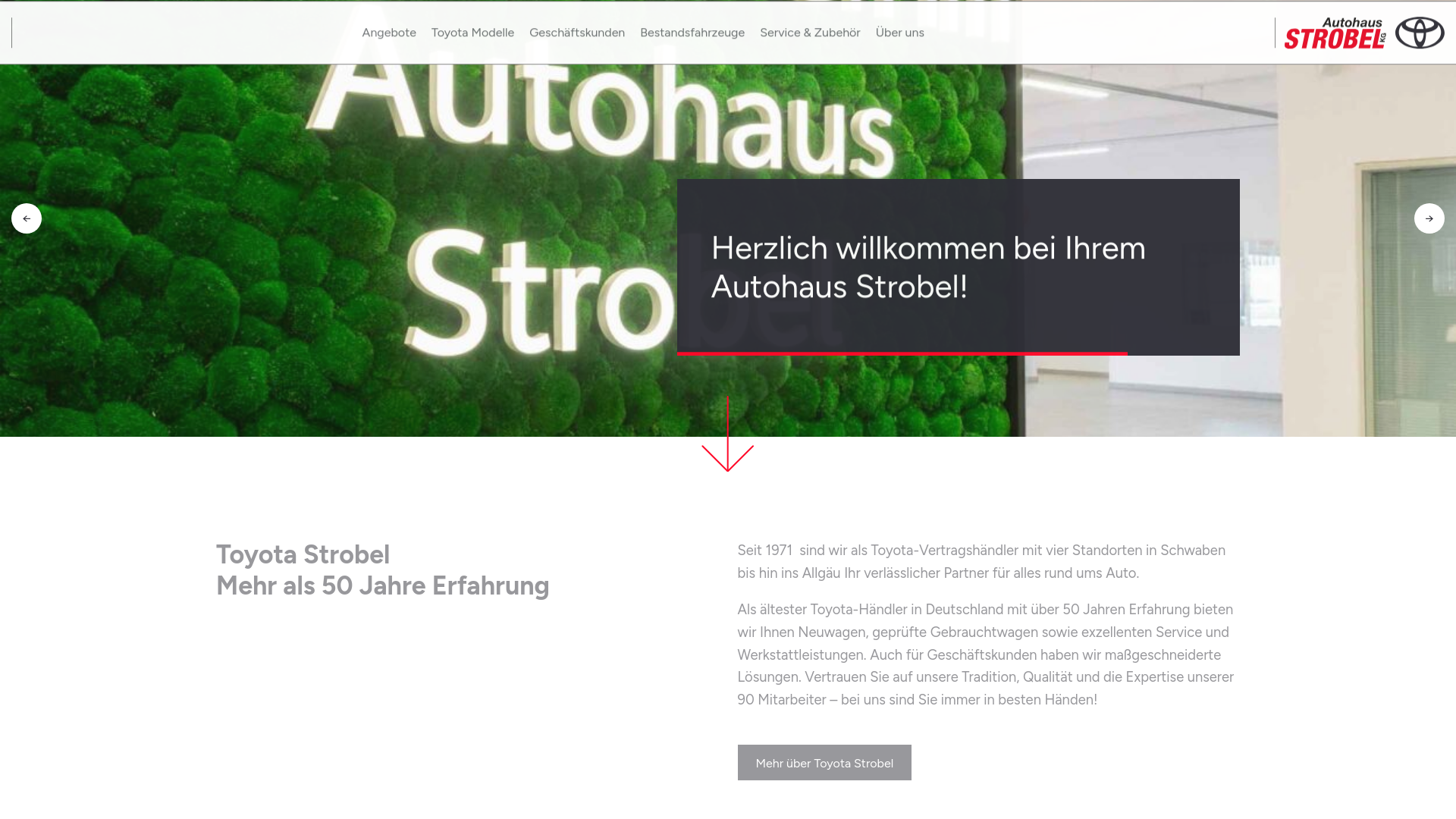website screenshot of https://toyota-strobel.de