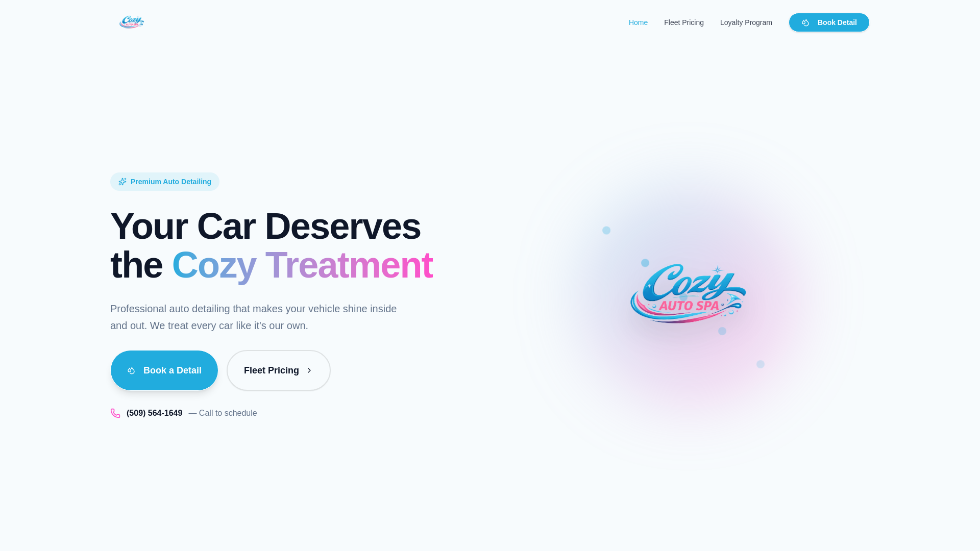 website screenshot of https://cozyautospa.com/