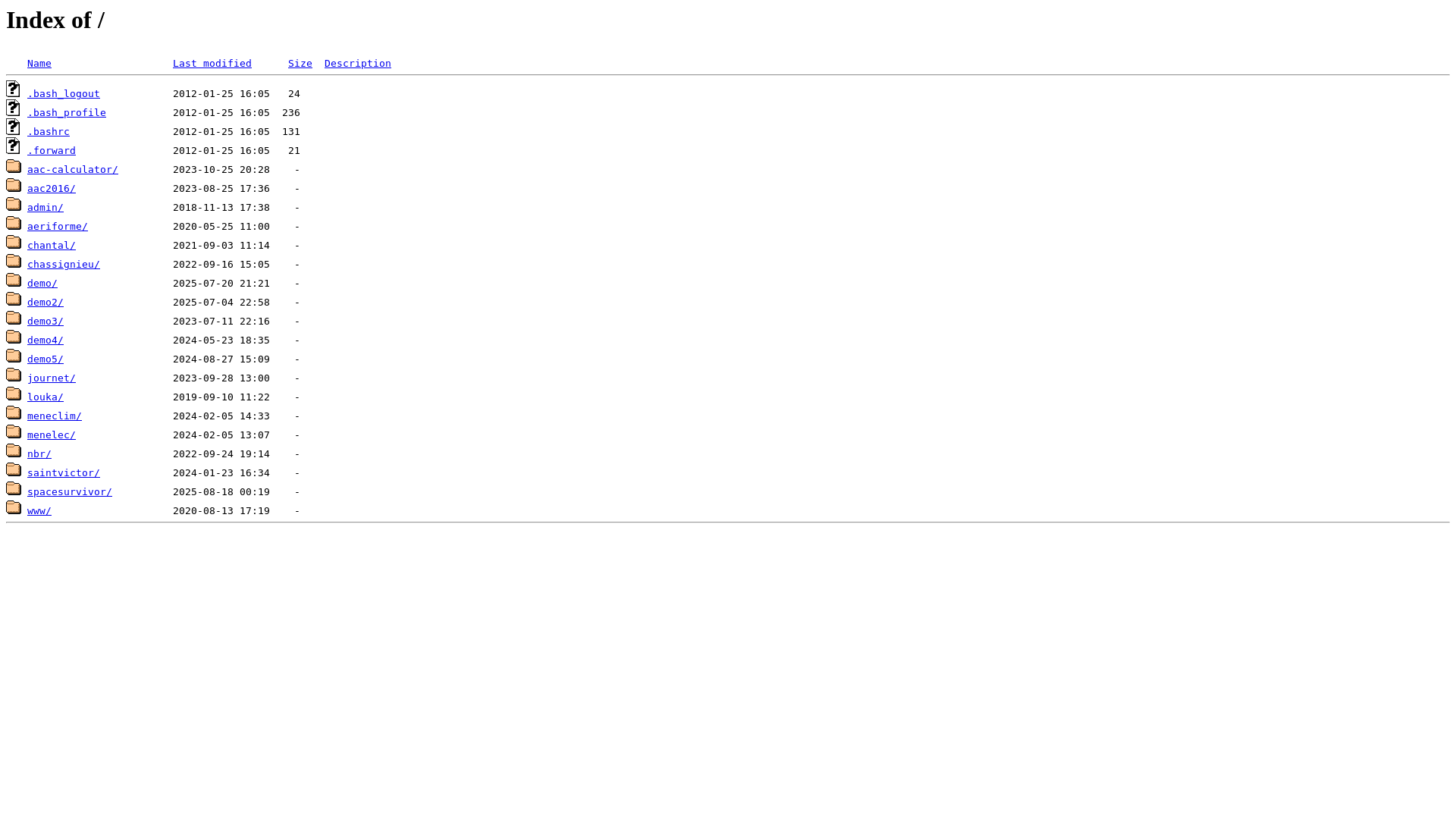 website screenshot of https://space-survivor.fr/
