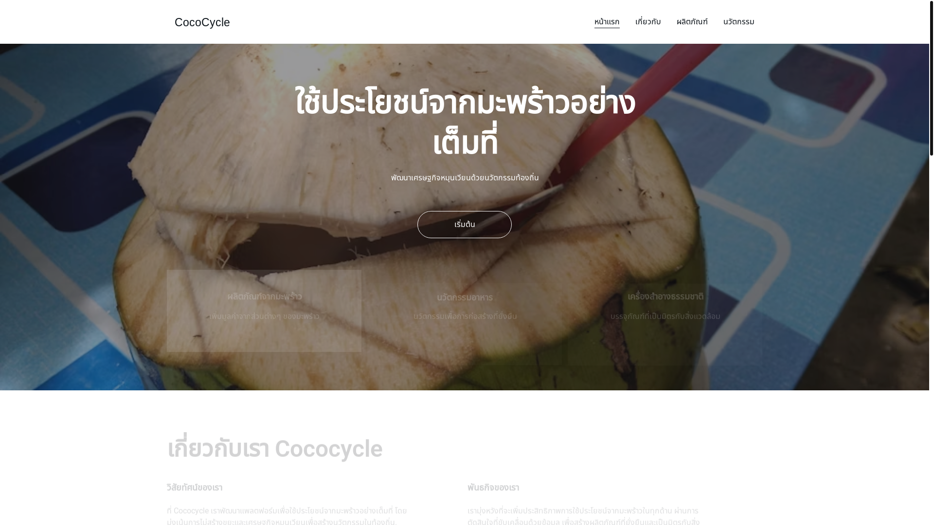 website screenshot of https://cococycle.online/