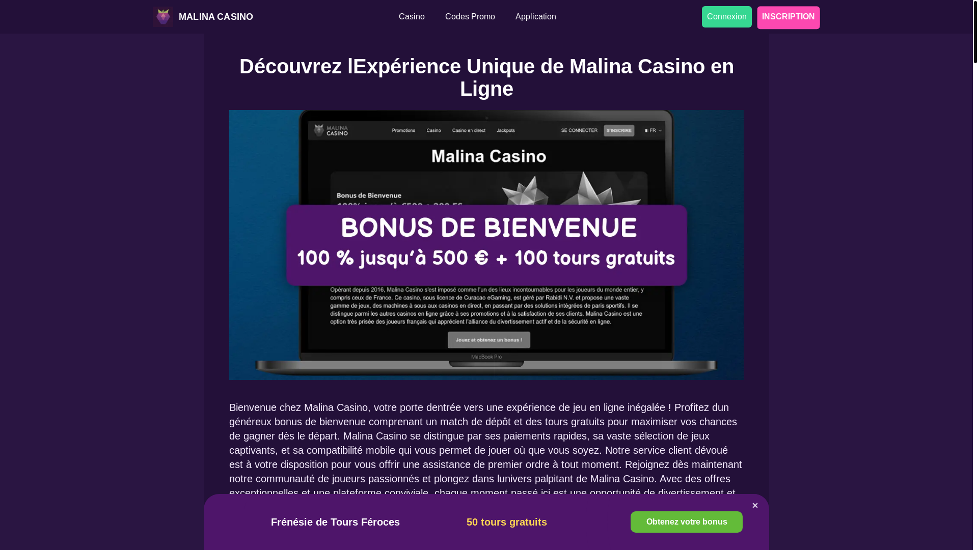 website screenshot of https://malina-fr-com.pages.dev/