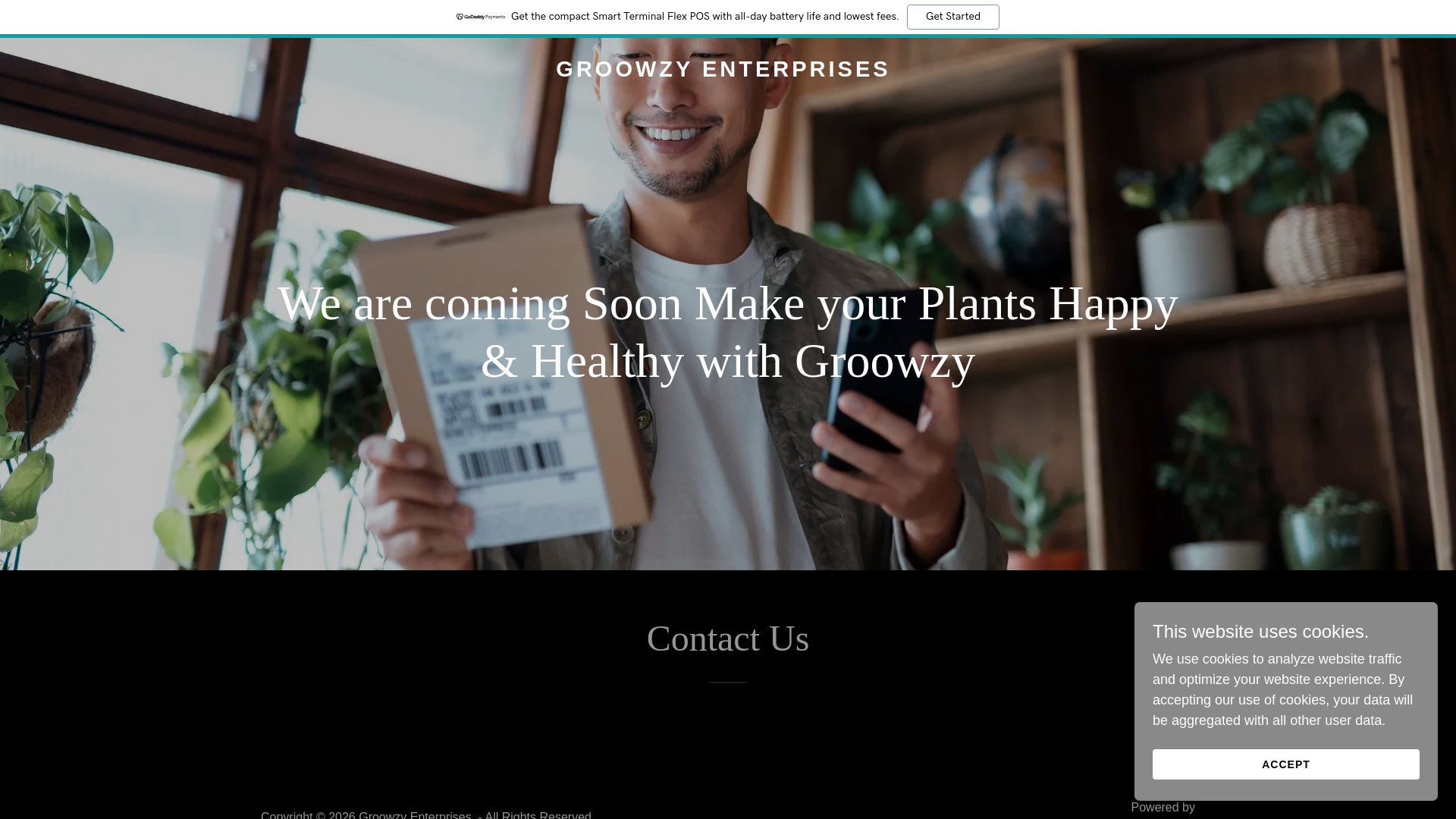 website screenshot of https://groowzy.com/