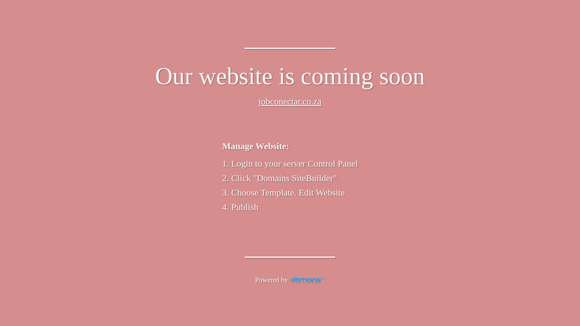 website screenshot of https://jobconectar.co.za/