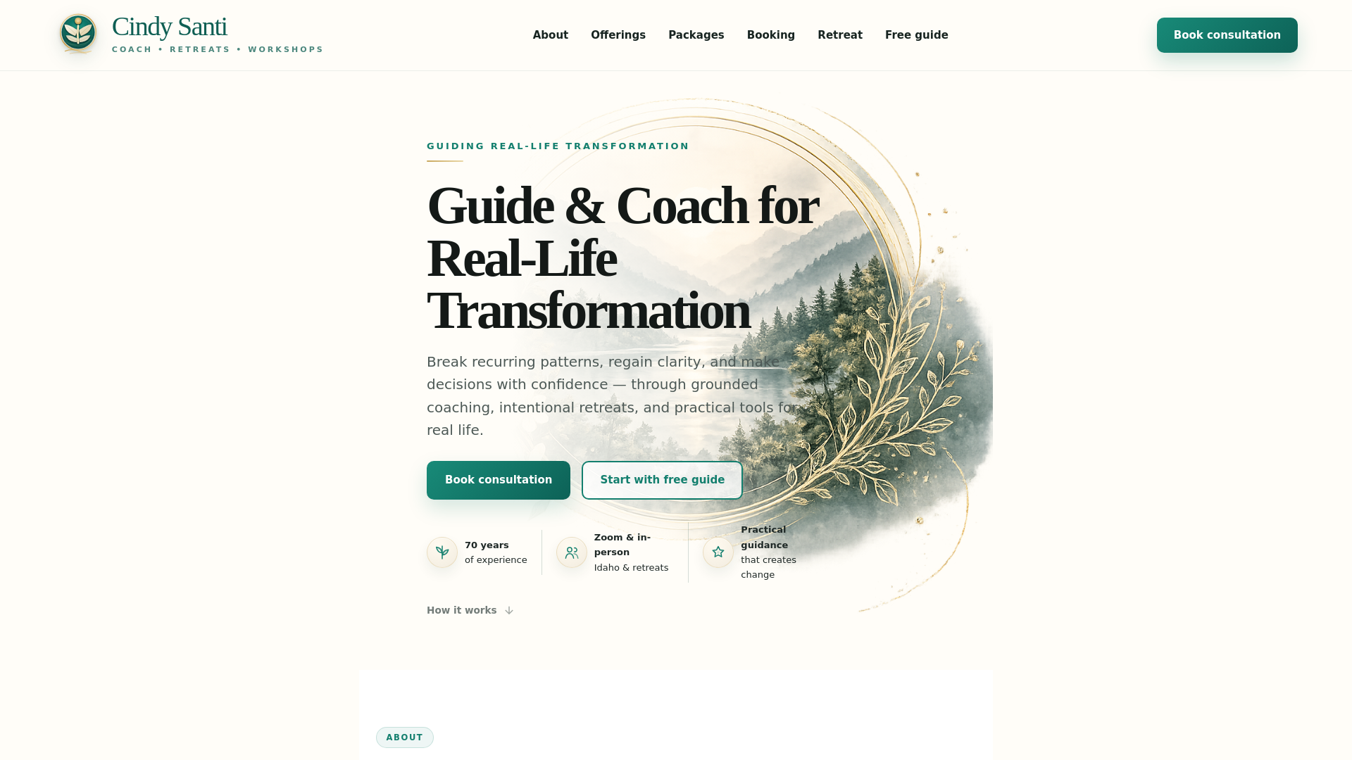 website screenshot of https://cindysanti.com/
