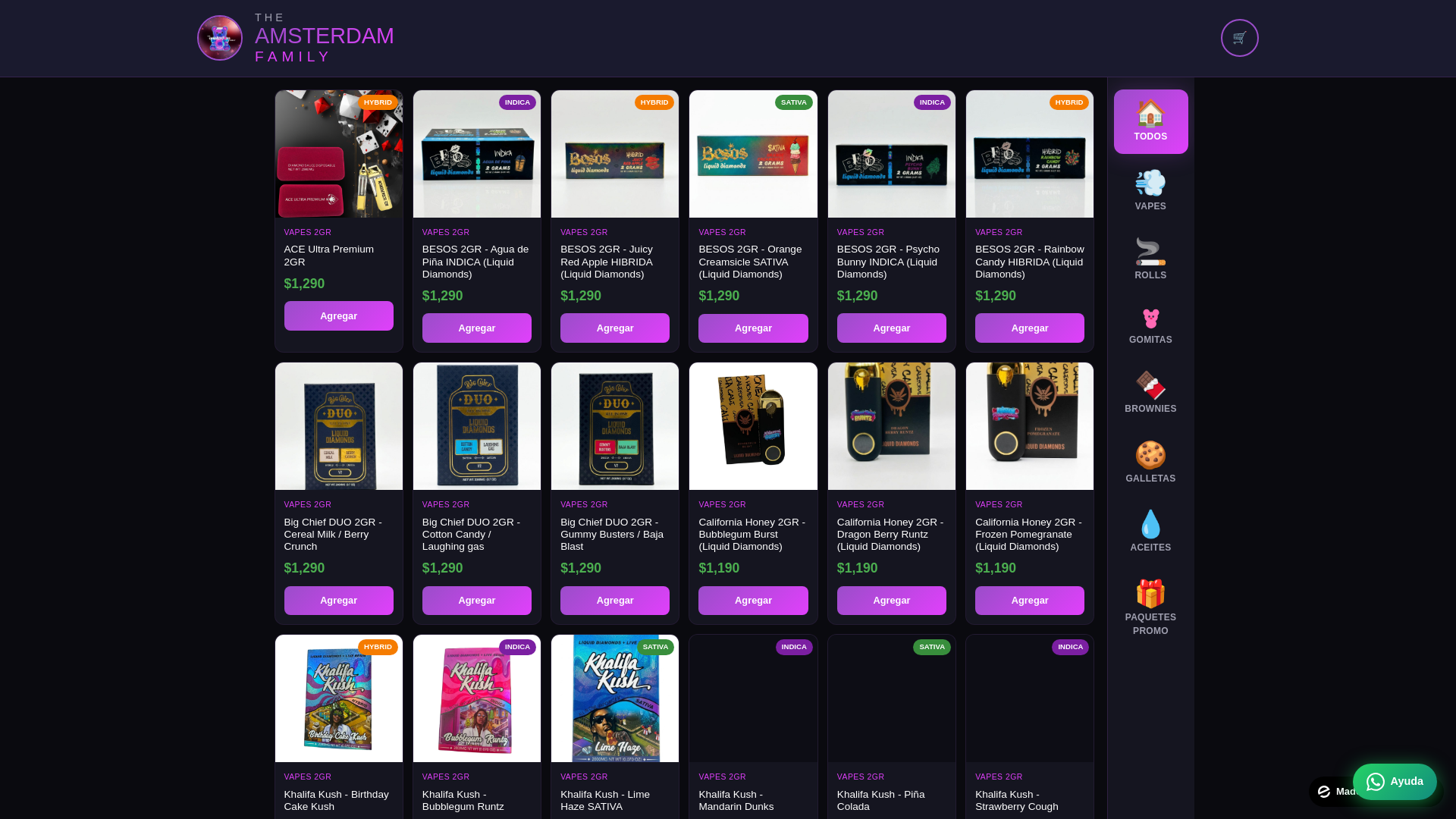 website screenshot of https://theamsterdamfamily.com