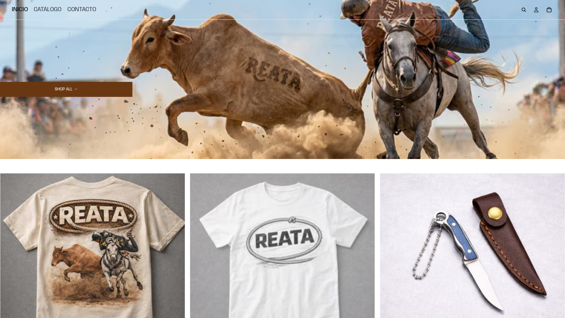 website screenshot of https://reata.store/