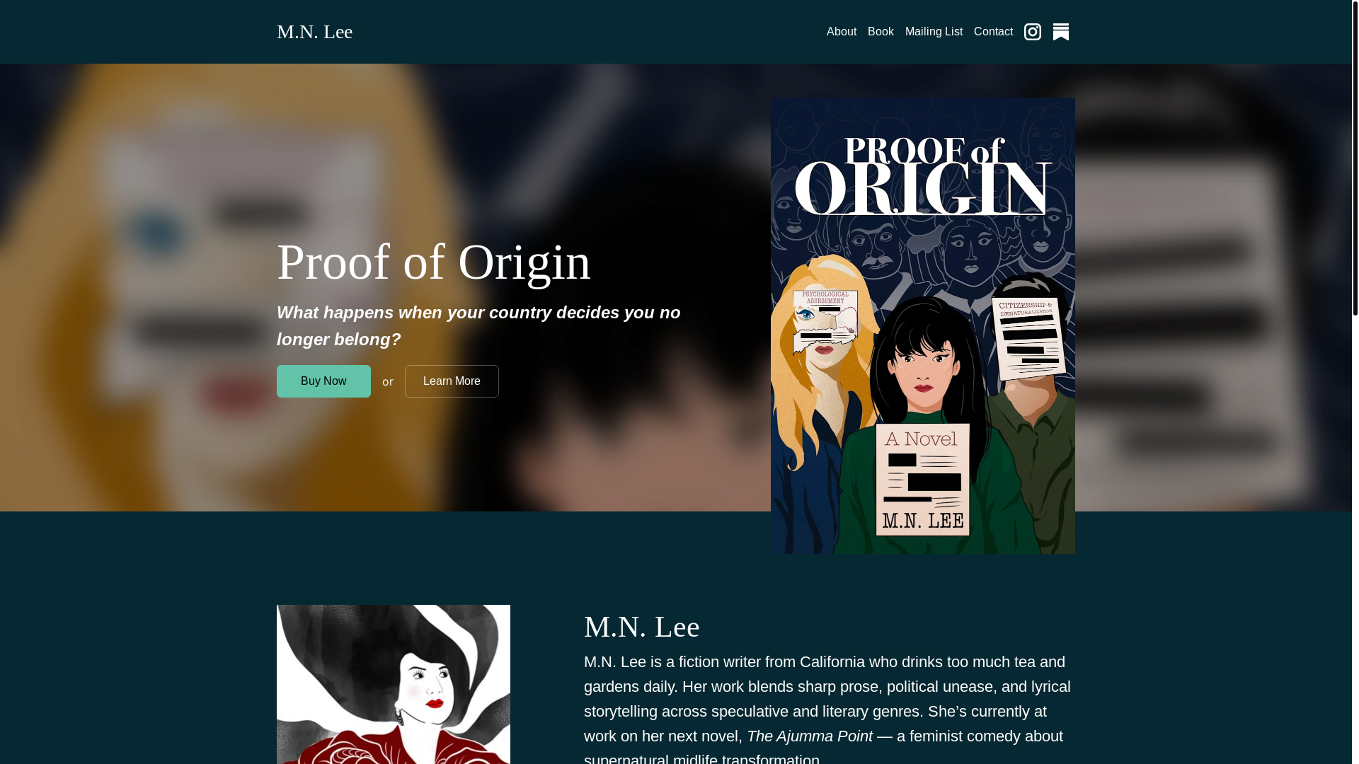 website screenshot of https://mnleewrites.com/