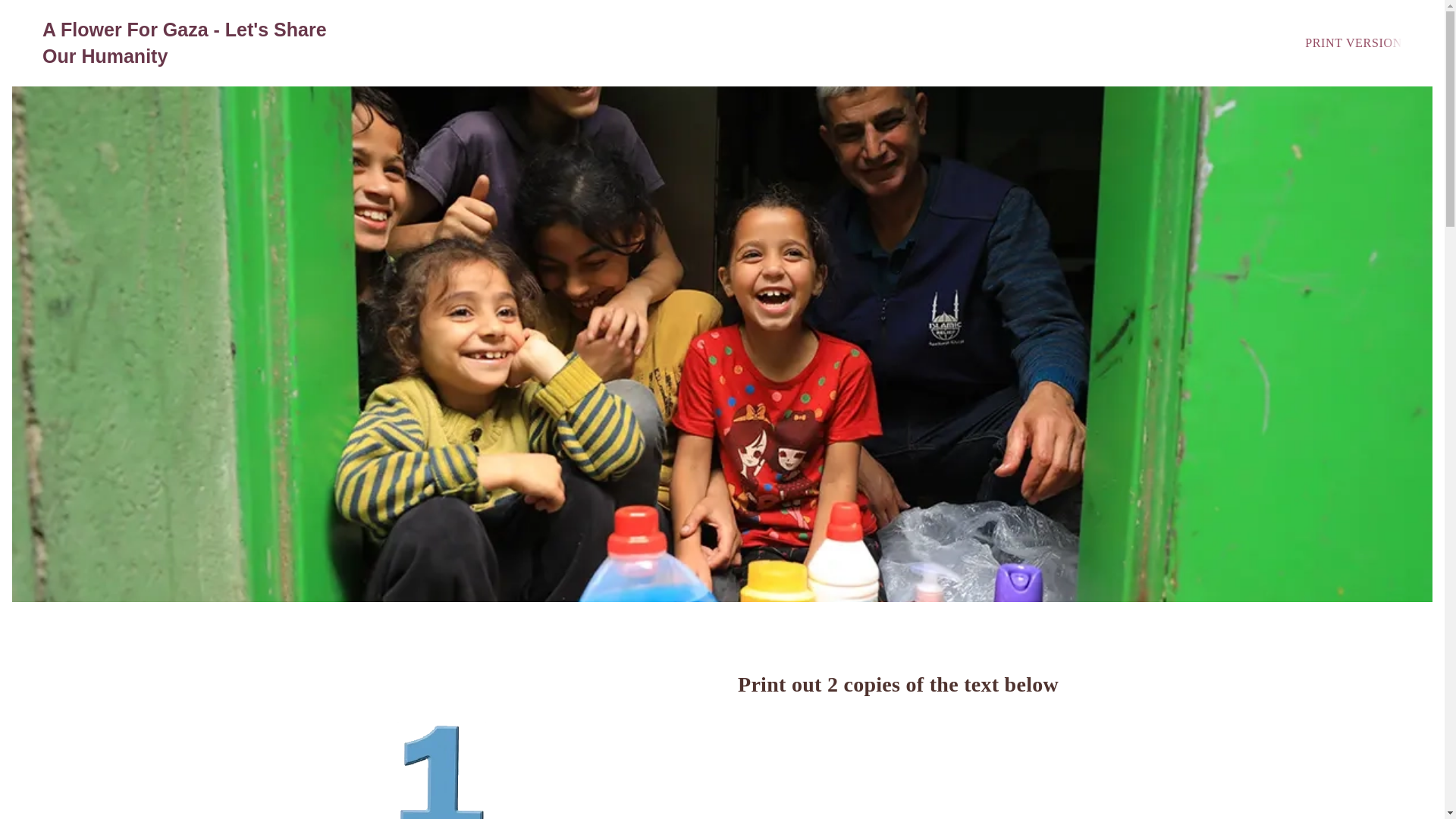 website screenshot of https://aflowerforgaza.co.uk/