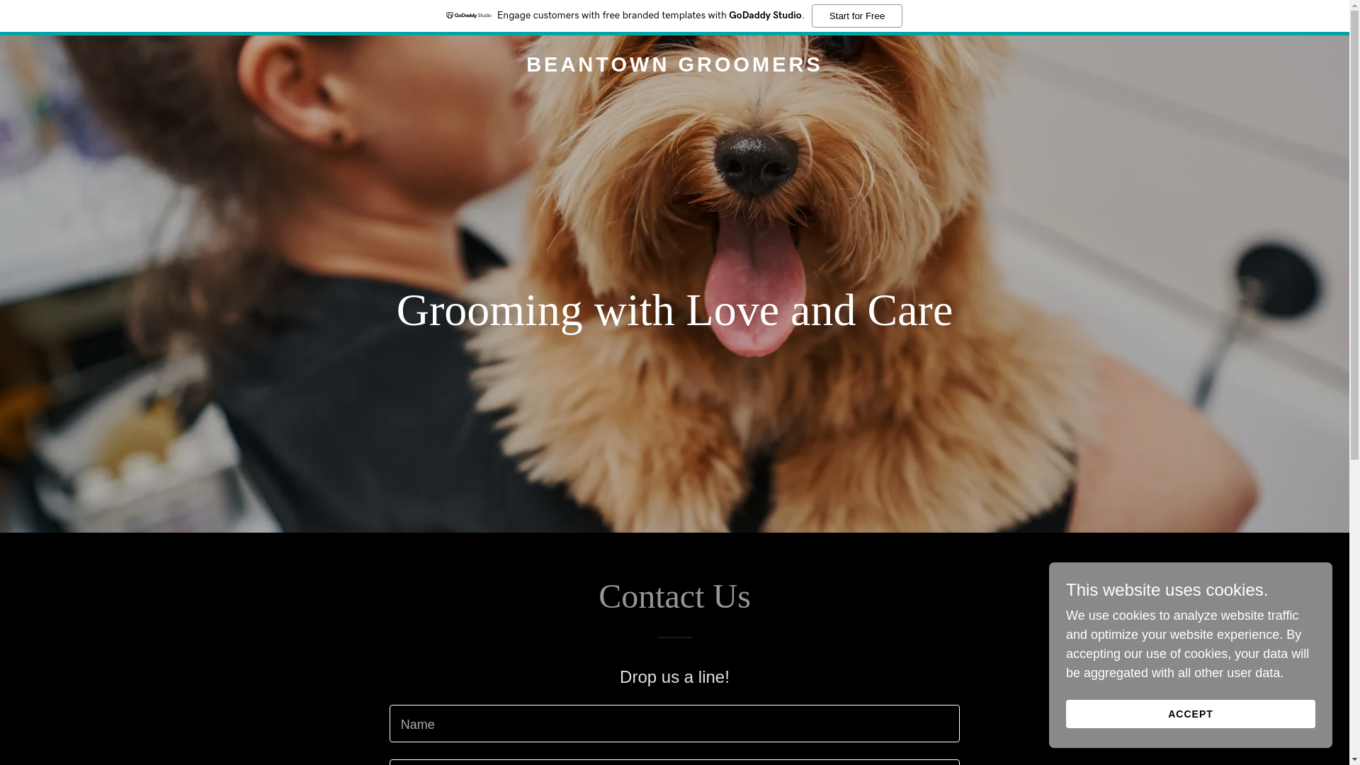 website screenshot of https://beantowngroomers.com/