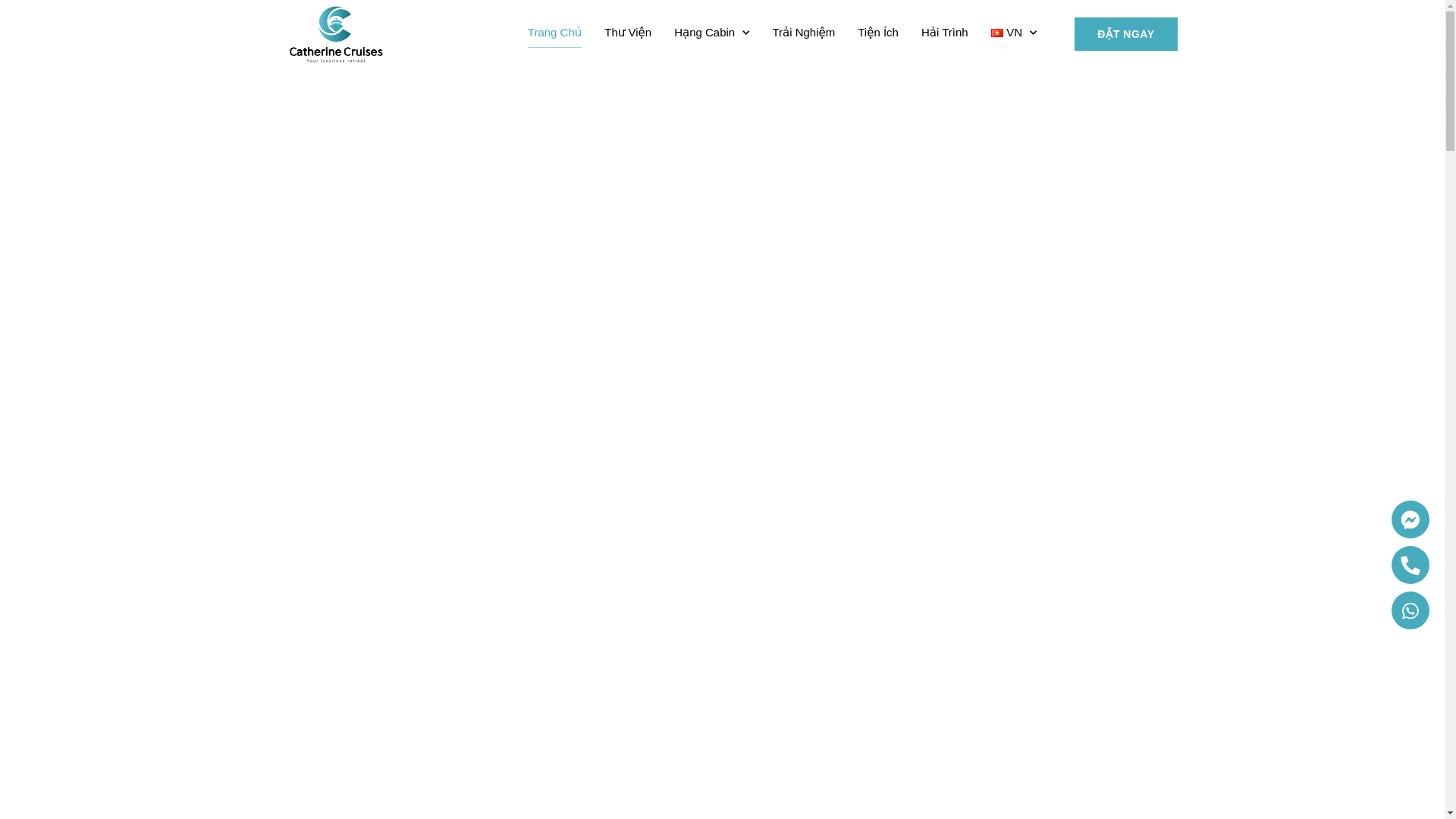 website screenshot of https://catherinecruise.vn/