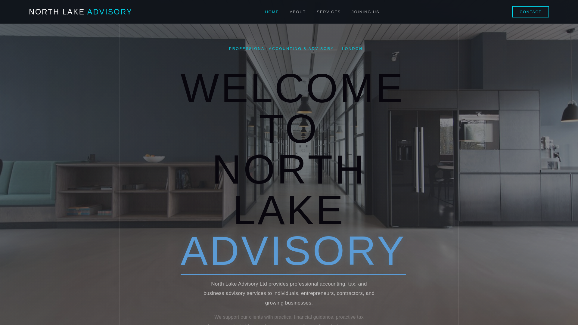 website screenshot of https://north-lake-advisory.pages.dev/