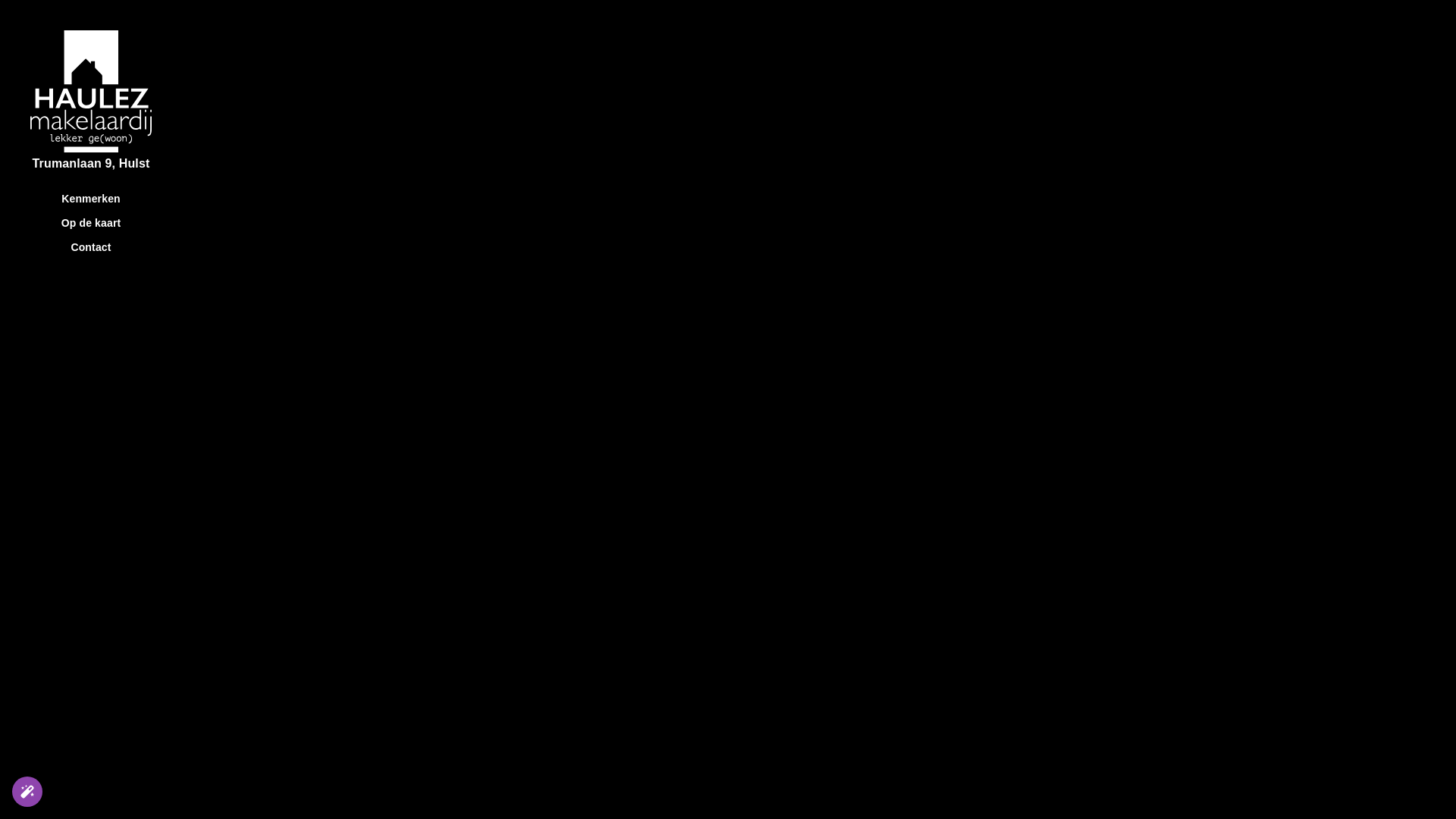 website screenshot of https://trumanlaan9.nl/